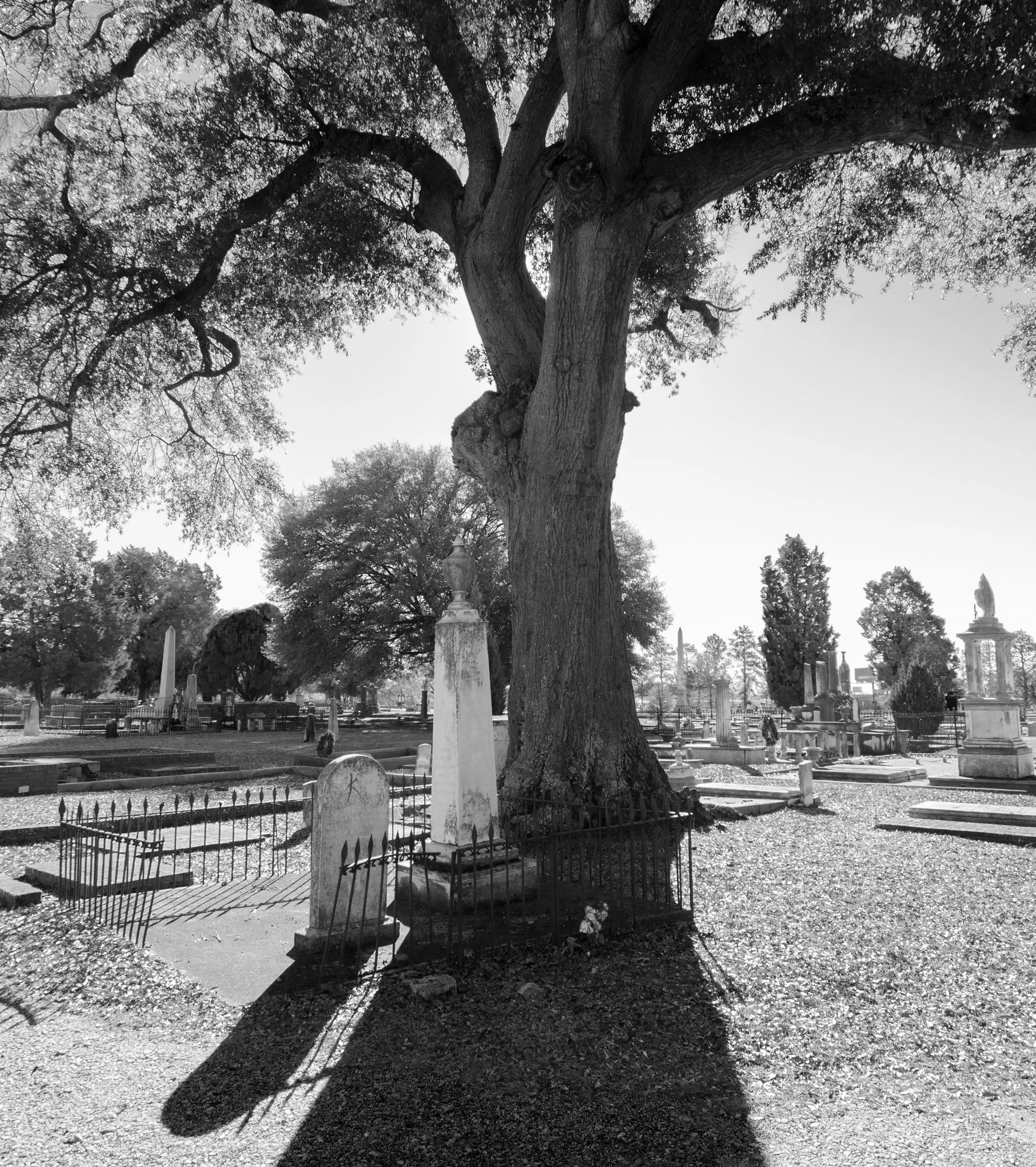 DSC_6199b.jpg