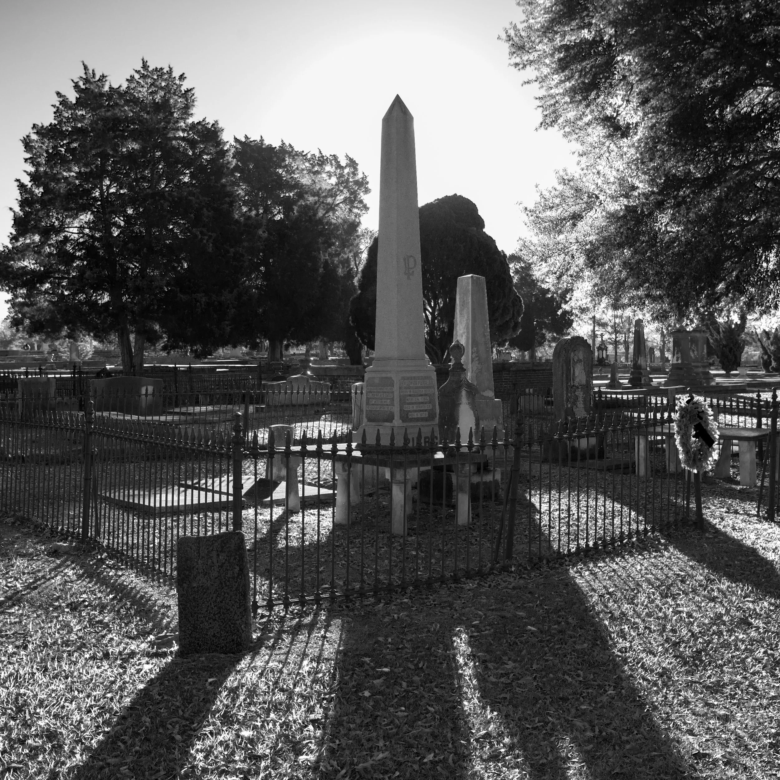 DSC_2125.jpg