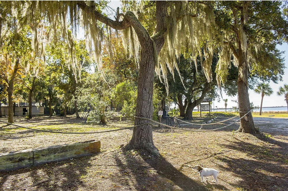 Lucy-Indian Head Creek Park-East Point- Florida.jpg