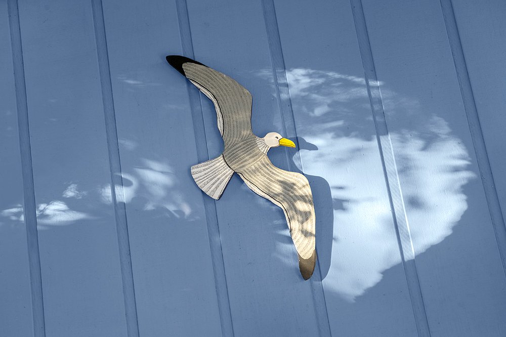 Gull on a Wall- Sportsmans Lodge-East Point-Florida.jpg