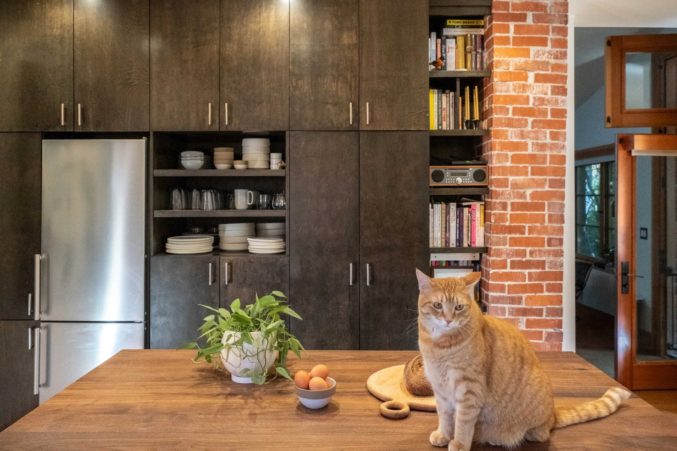 6_Cat.jpg