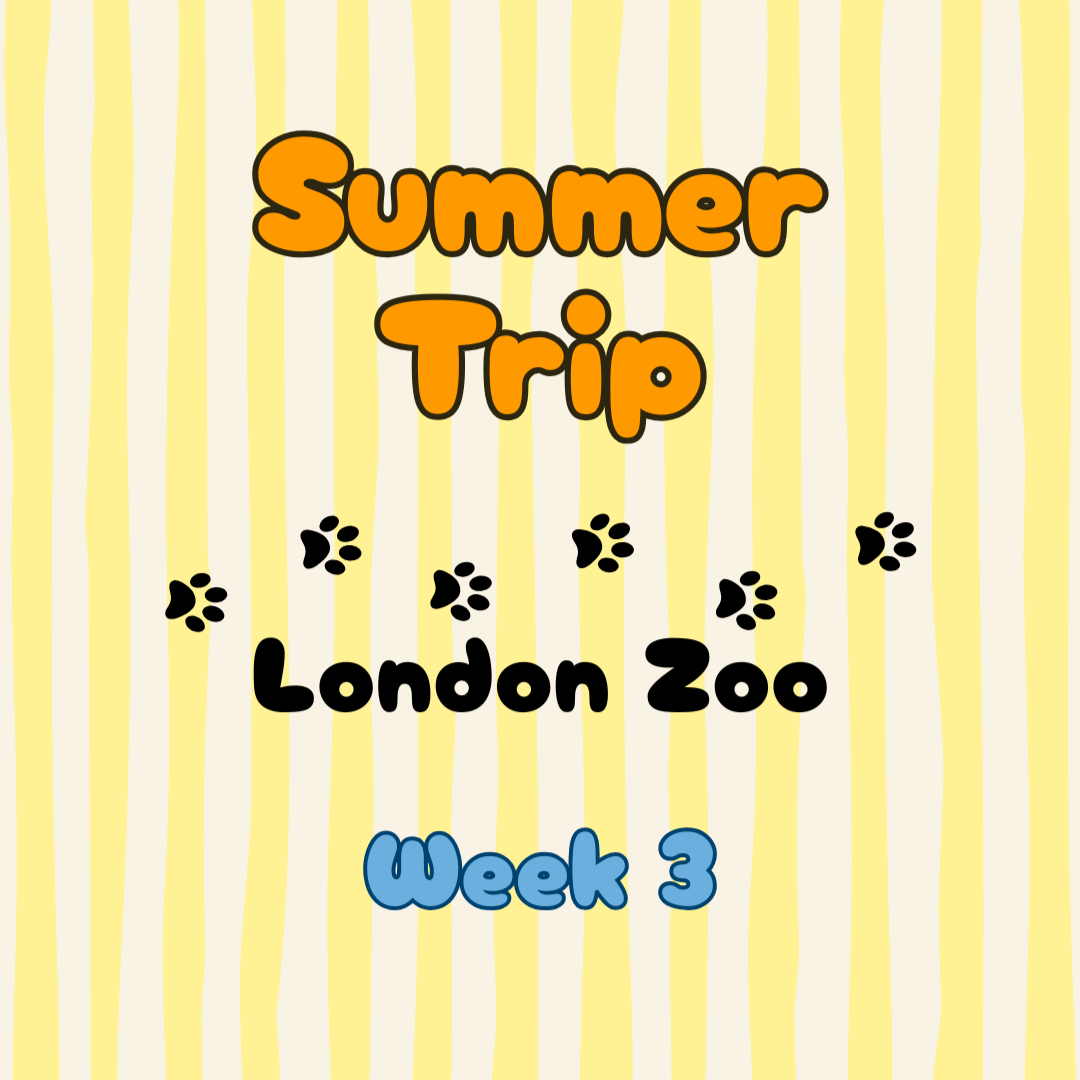 Trip Week 3: London Zoo