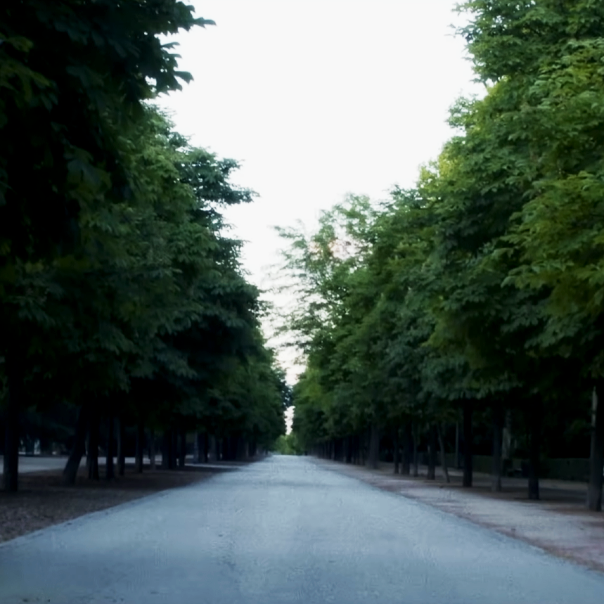 Imágenes Sonoras de Madrid: Parque de el Retiro (2024)