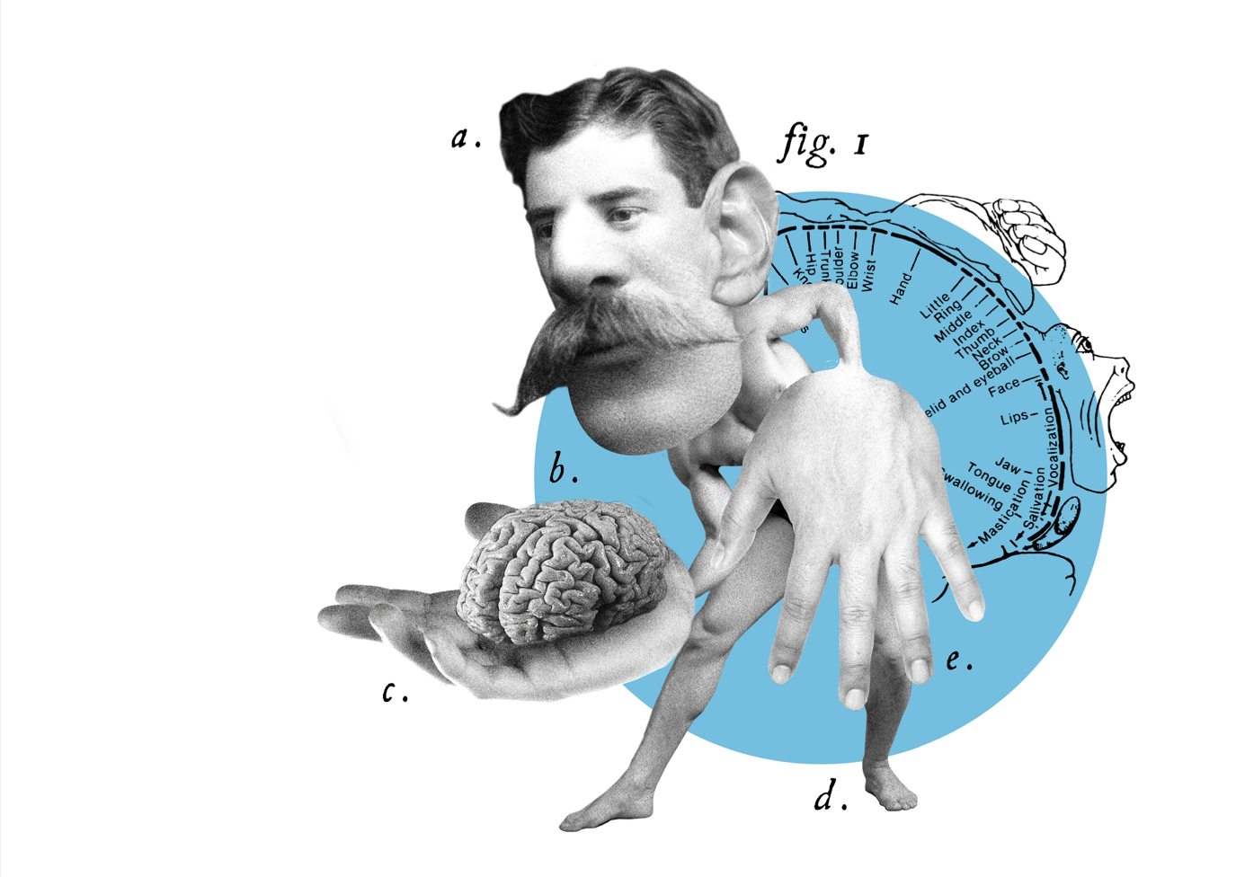 A collage combining a black and white photo of a man with a large mustache with vintage anatomical illustrations and realistic human body parts. The man’s head is attached to a figure's body, which is holding a brain. The background includes a diagram of the human head with labeled regions.