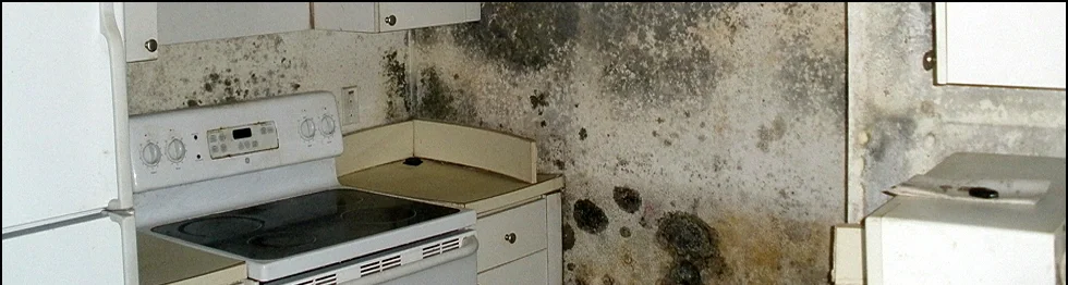 A kitchen with mold and water damage on the walls, white cabinets, and a white stove.