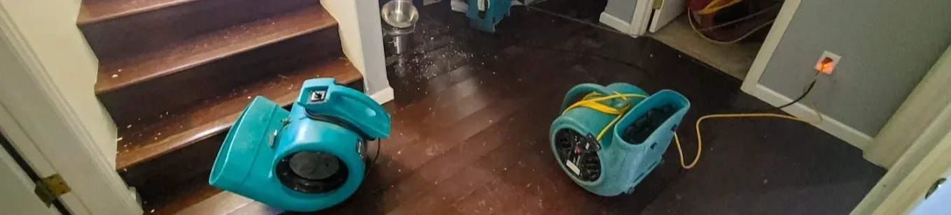 A closet with a vacuum and air compressor on a wooden floor, and stairs leading up to a doorway.