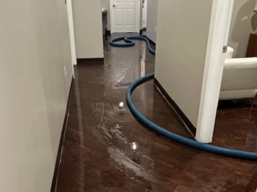 Technicians performing professional water damage restoration with drying equipment in a residential property in the Philadelphia suburbs