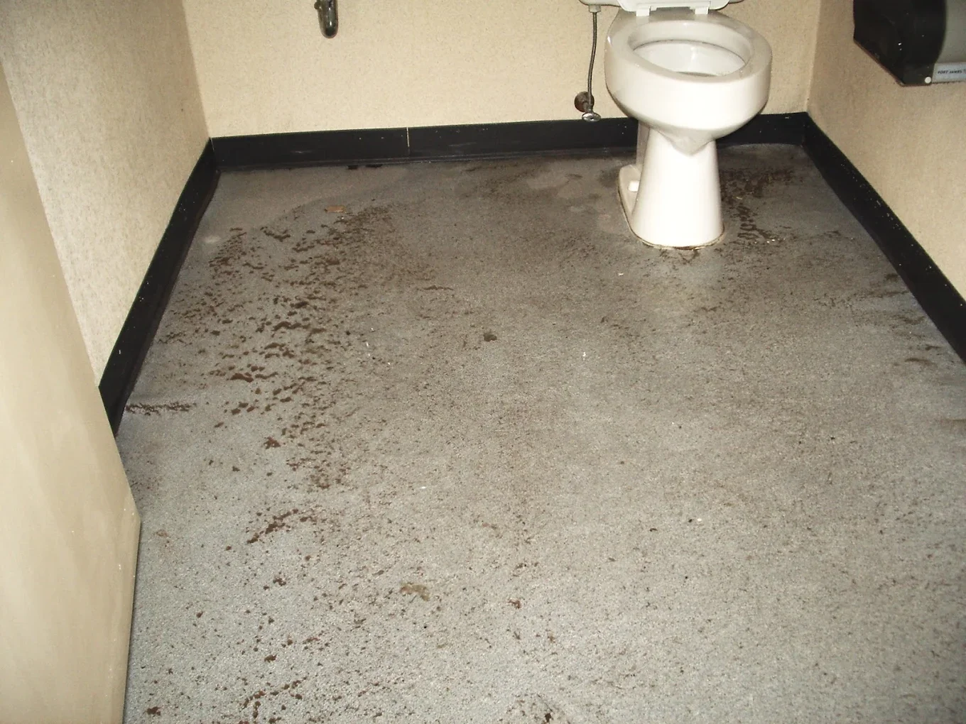 Certified restoration technicians handling sewage cleanup and decontamination in a residential property following a backup