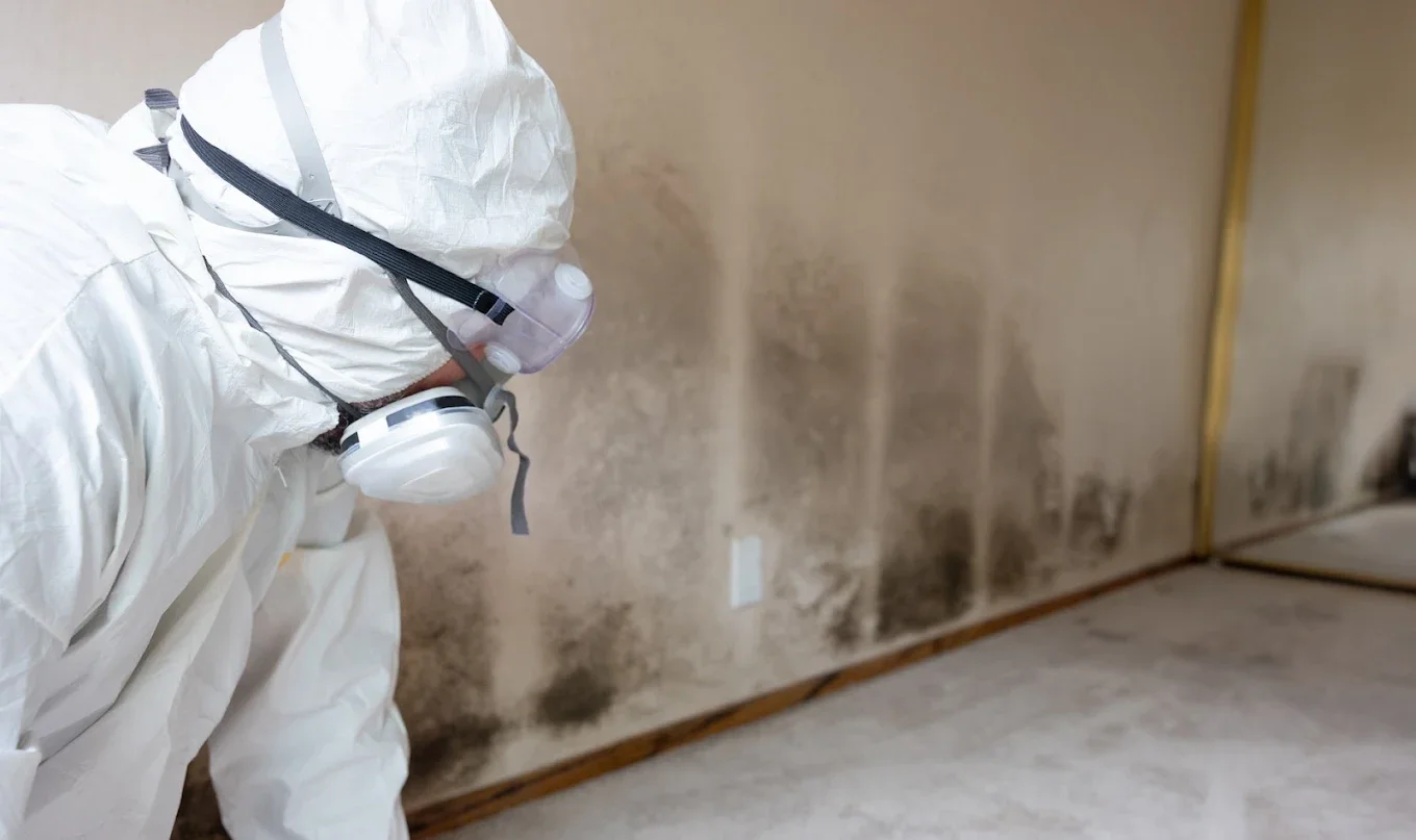Person in protective gear inspecting a moldy wall in a room.