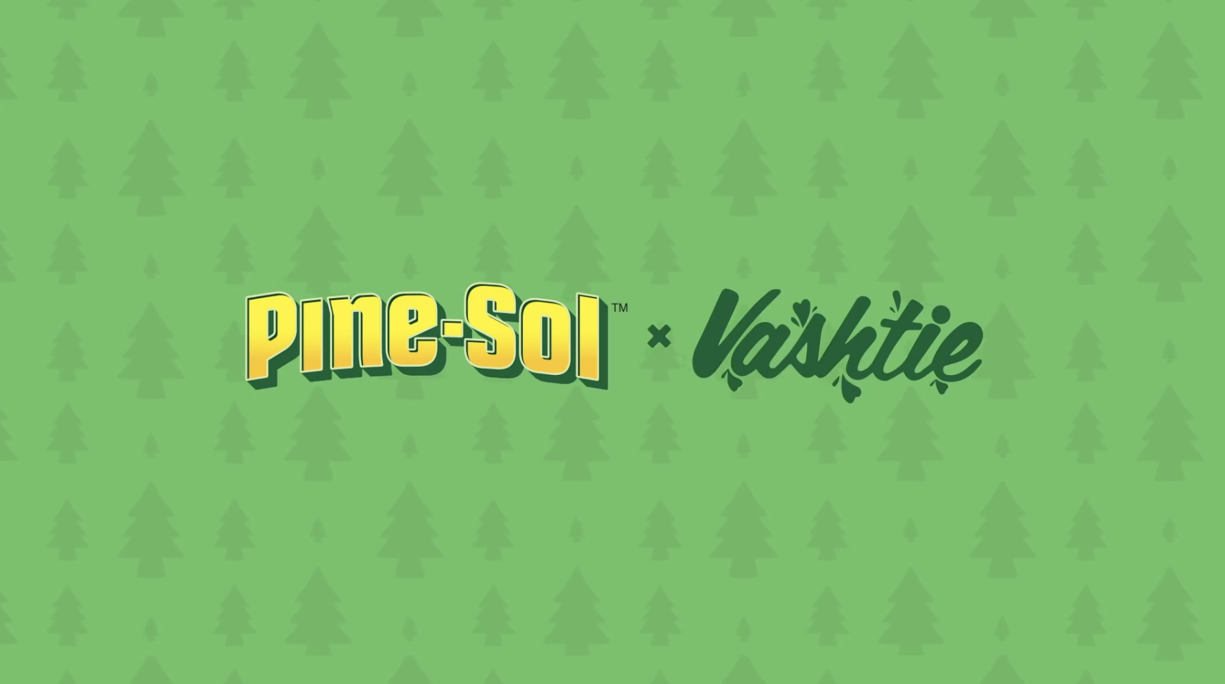 Pine-Sol x Vashtie