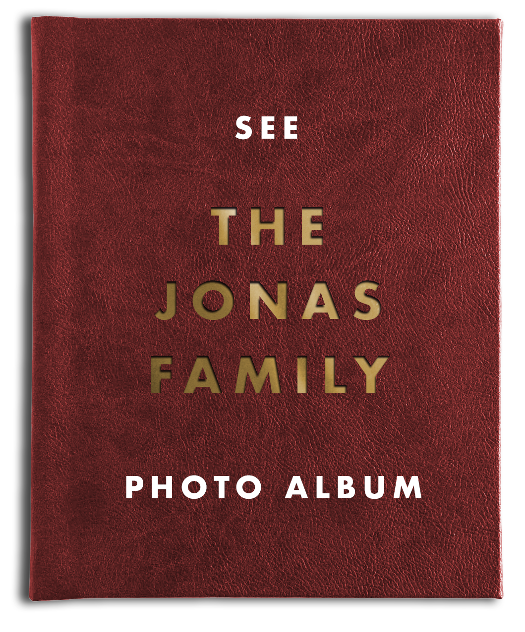 Red textured photo album cover with gold and white text reading 'See the Jonas Family Photo Album'.