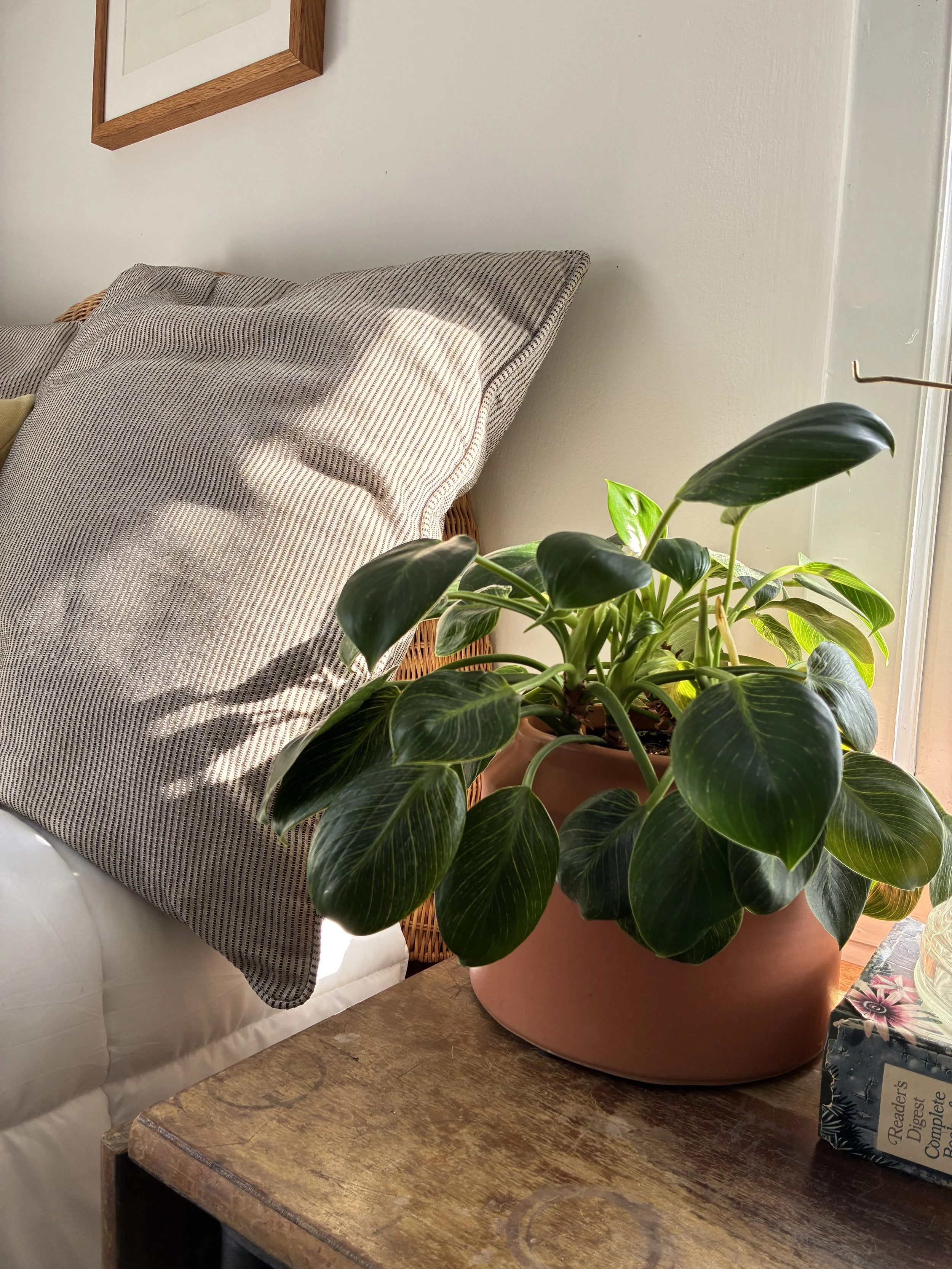 Real Estate Staging