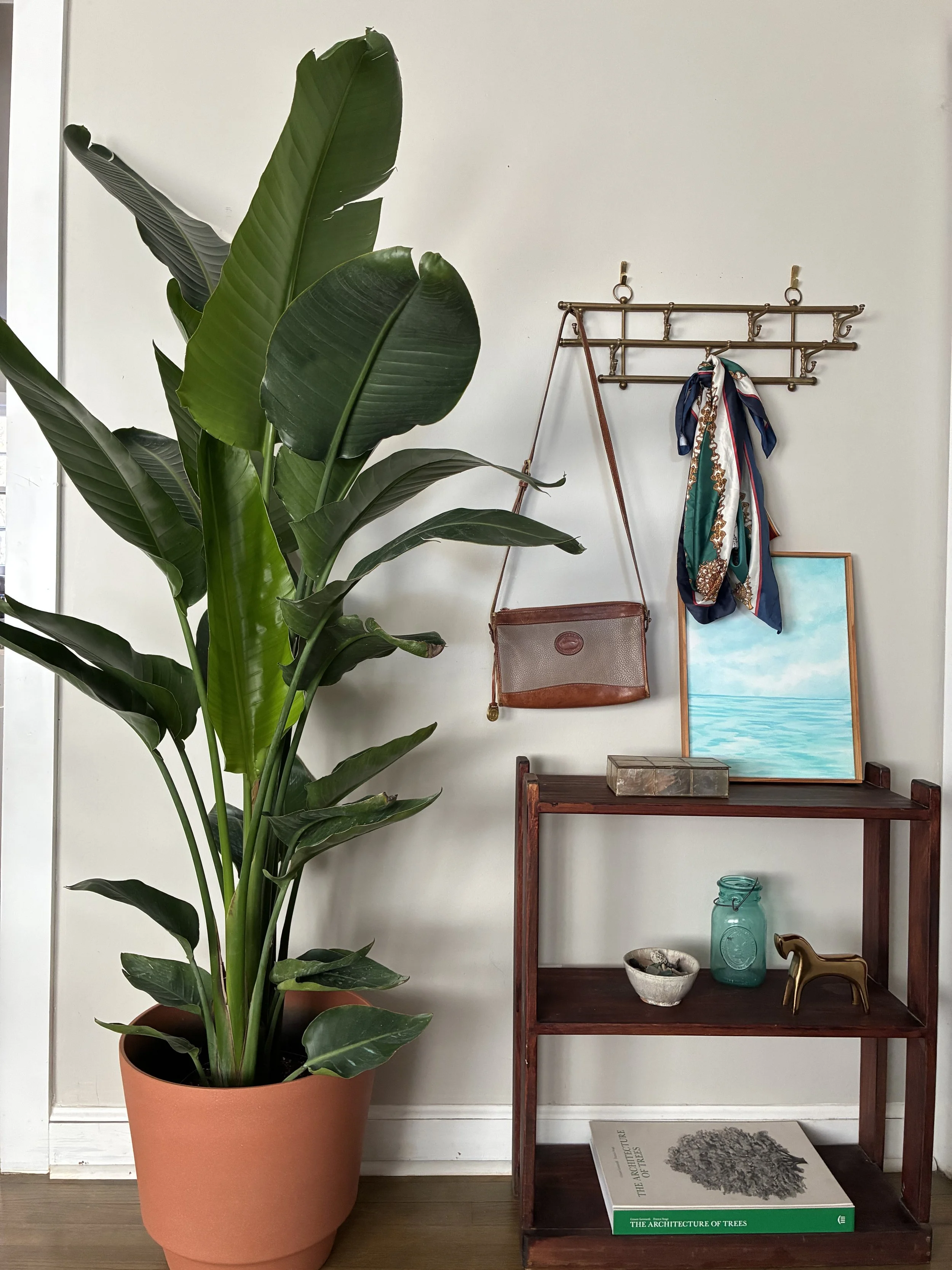 Real Estate Staging