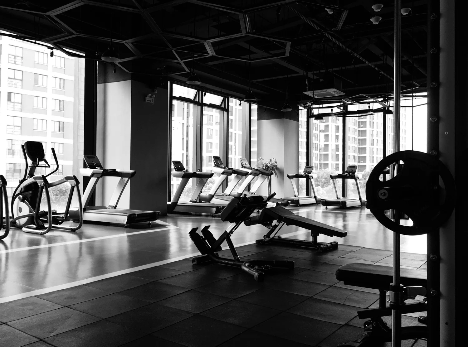 Success in the Fitness Industry: What Drives it and What Will Sustain it