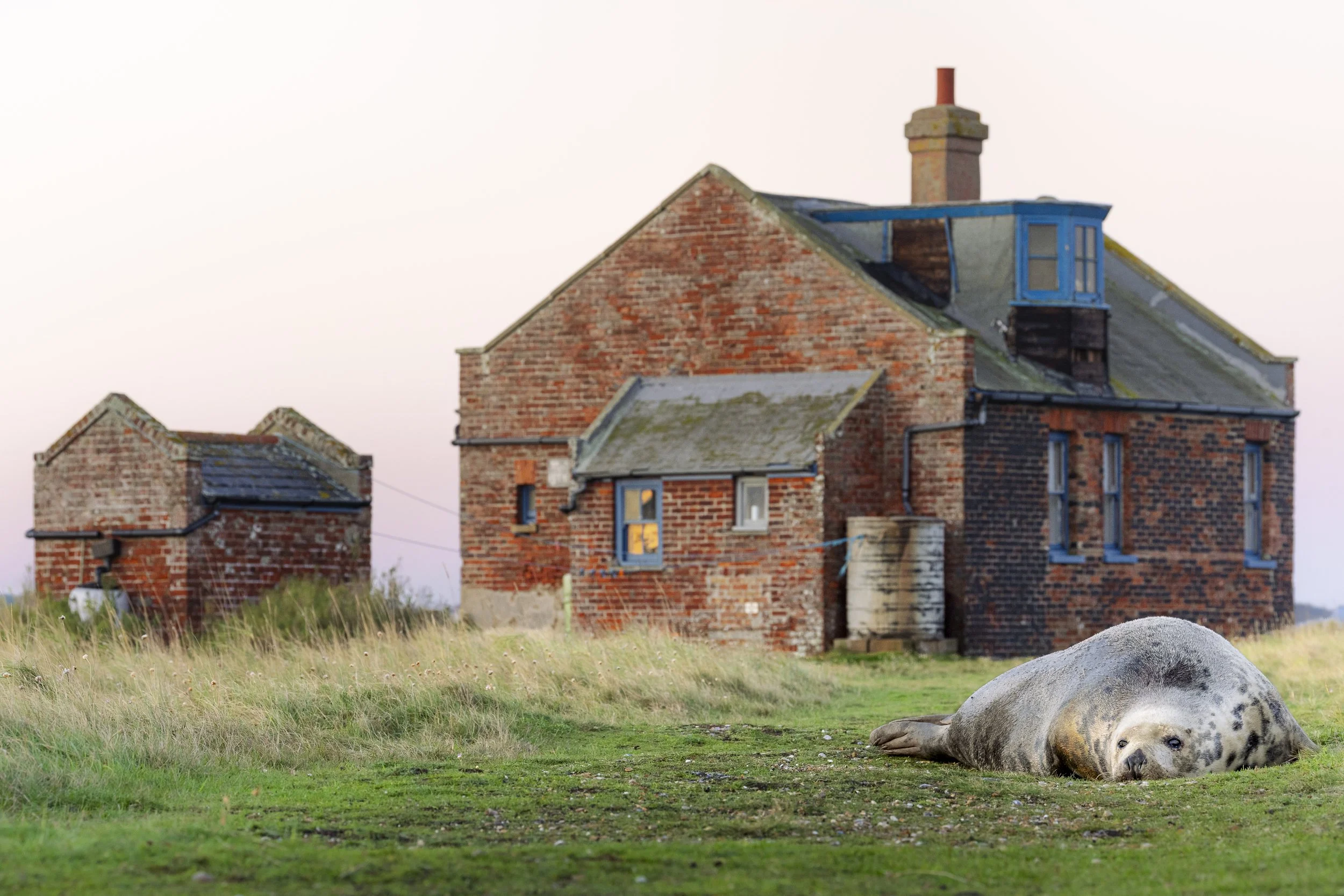 Getting on the Property Ladder