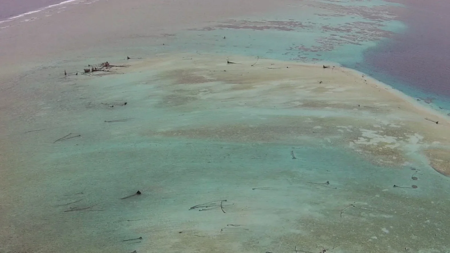 Aerial view of a beach with seaweed and debris washed ashore, showing clear turquoise shallow waters near the shoreline transitioning to deeper water.