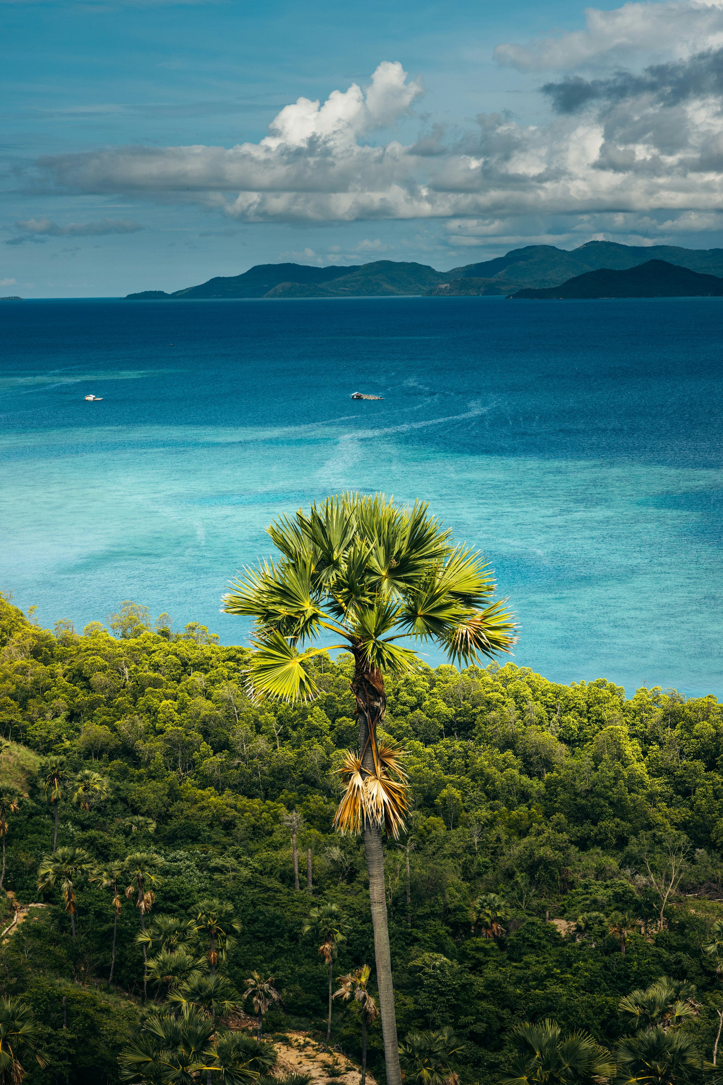 A tropical scene with a tall palm tree in the foreground, lush green forest, and a blue ocean with a few boats, distant islands, and mountains under a partly cloudy sky.