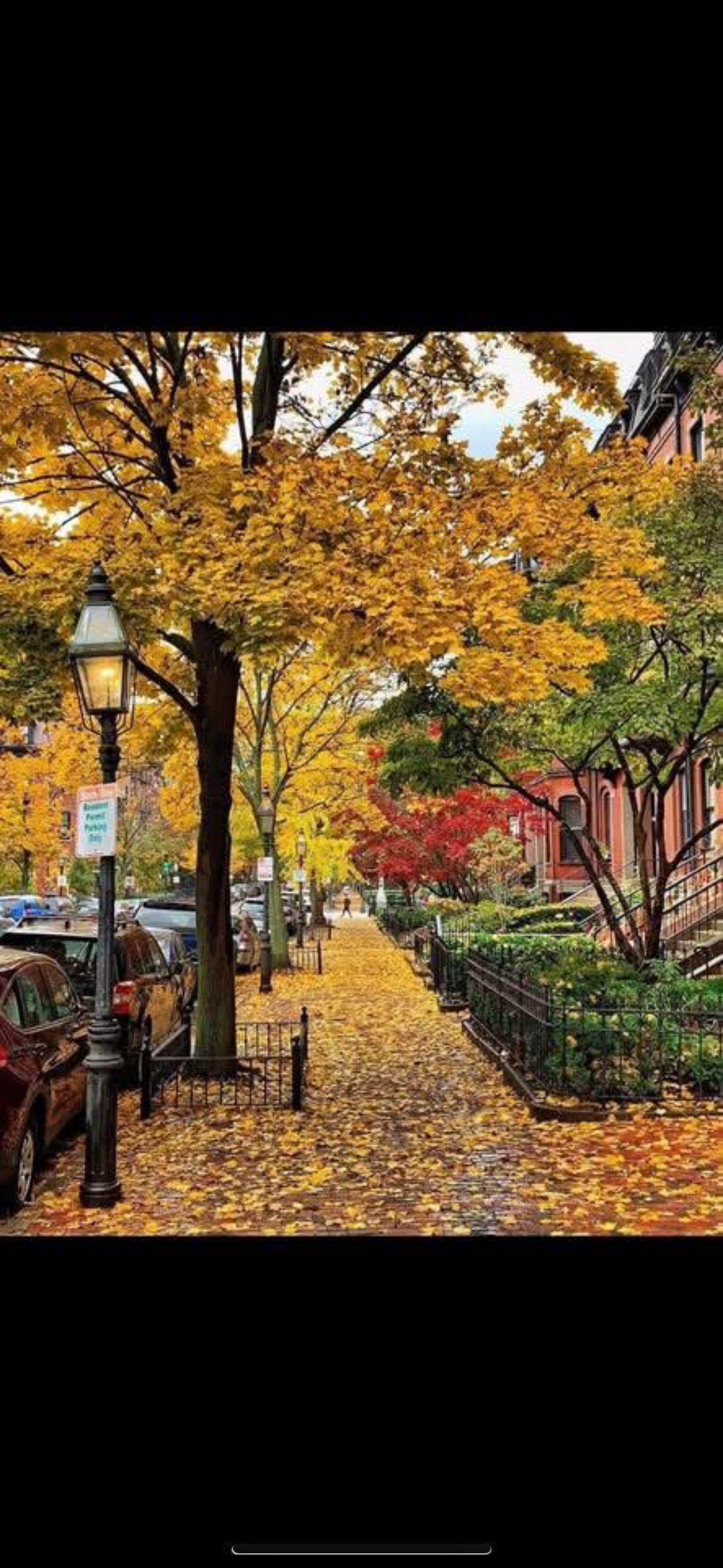 Historic Boston street in the fall with brownstone buildings
