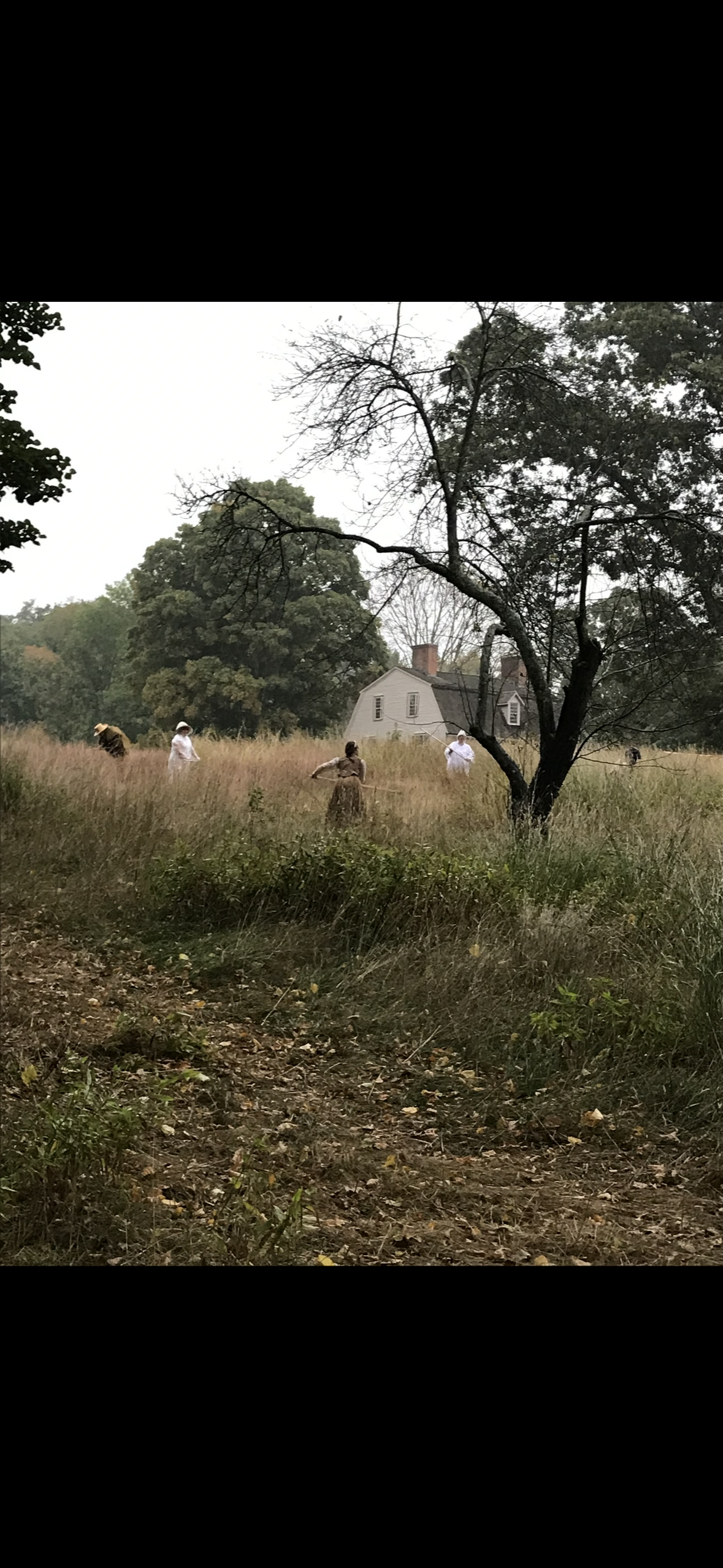 People dressed in historical clothing walking through a grassy field near a house with a tree in the foreground.
