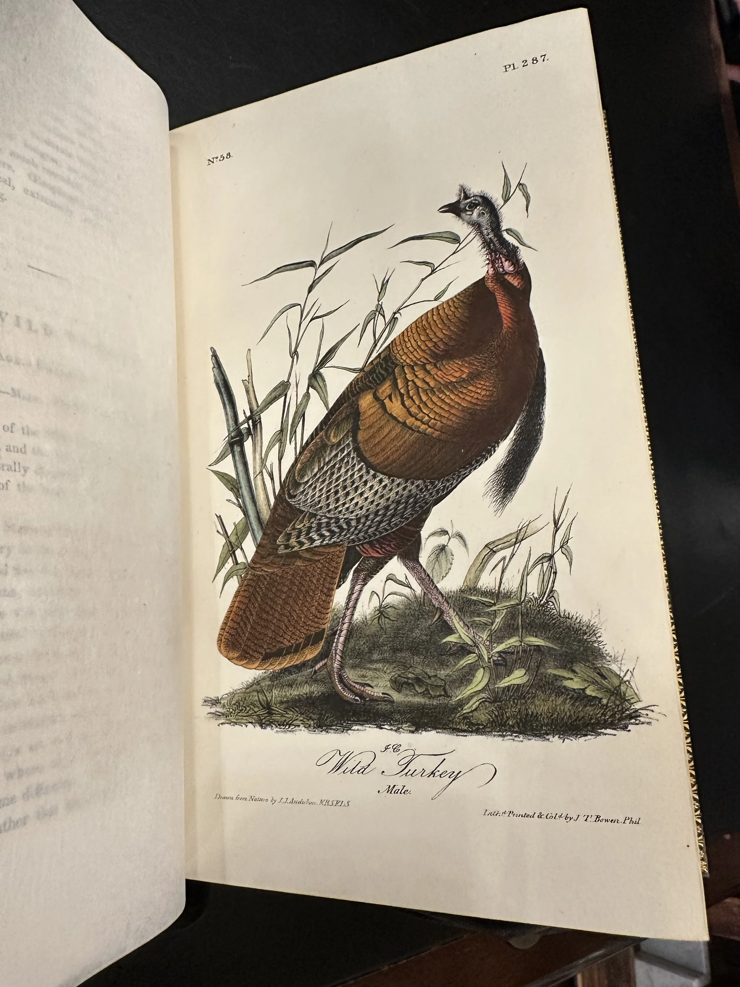 Custom New England private and bespoke excursions from Boston featuring rare books, nature, heritage and regional experiences