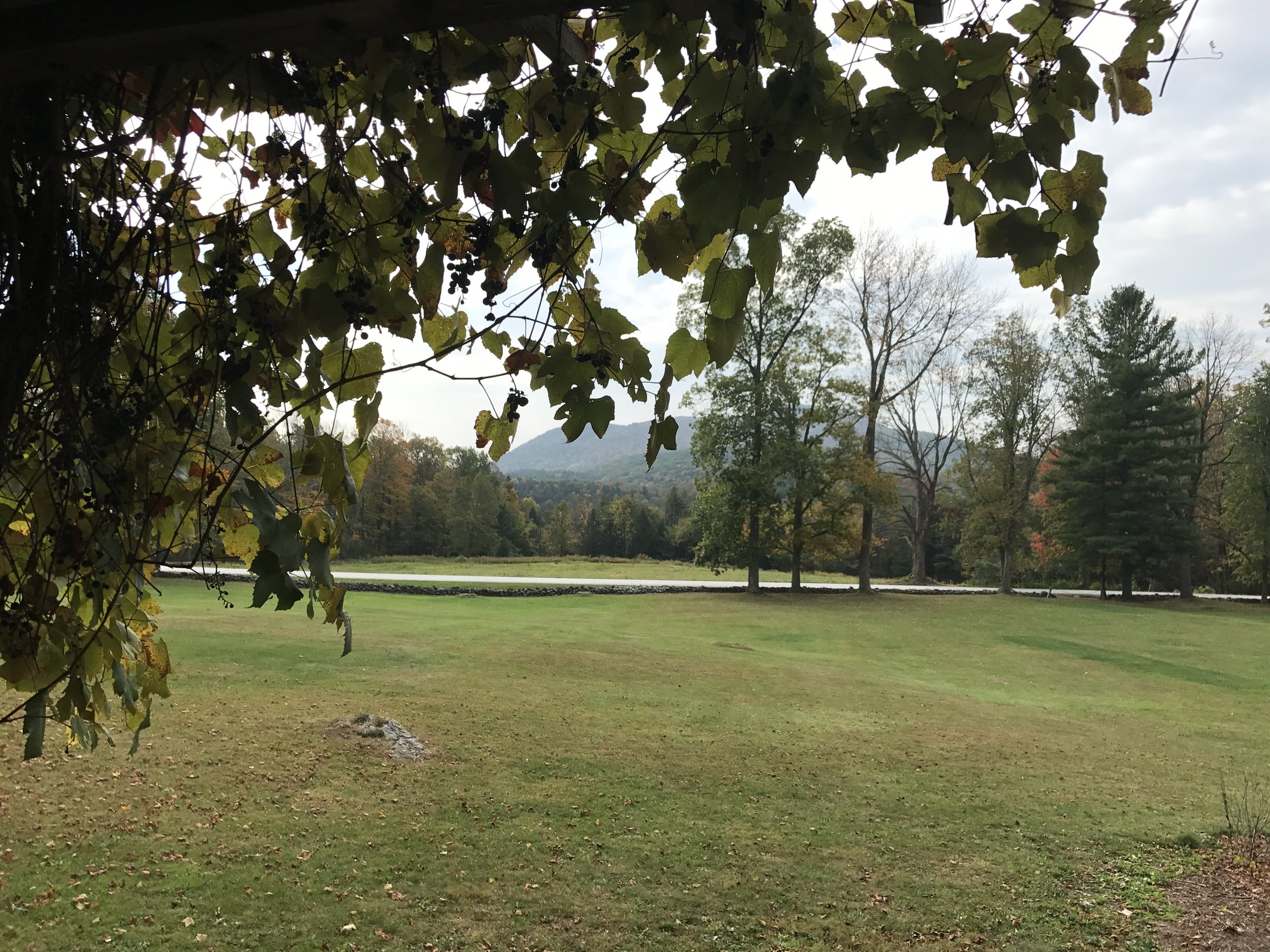 Scenic Berkshires countryside with open field and tress during early fall foliage season