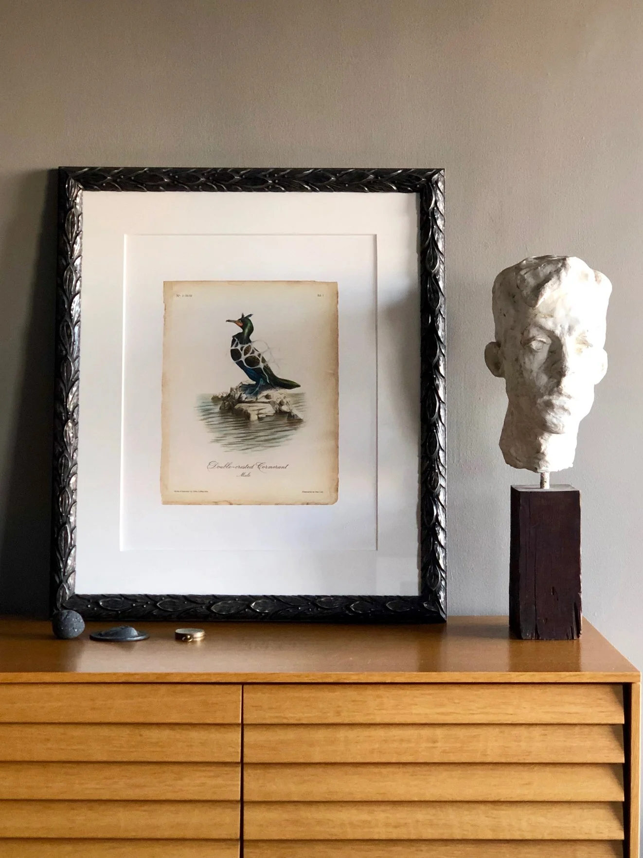 john-lamacchia-birds-of-america-print-in-situ.jpg