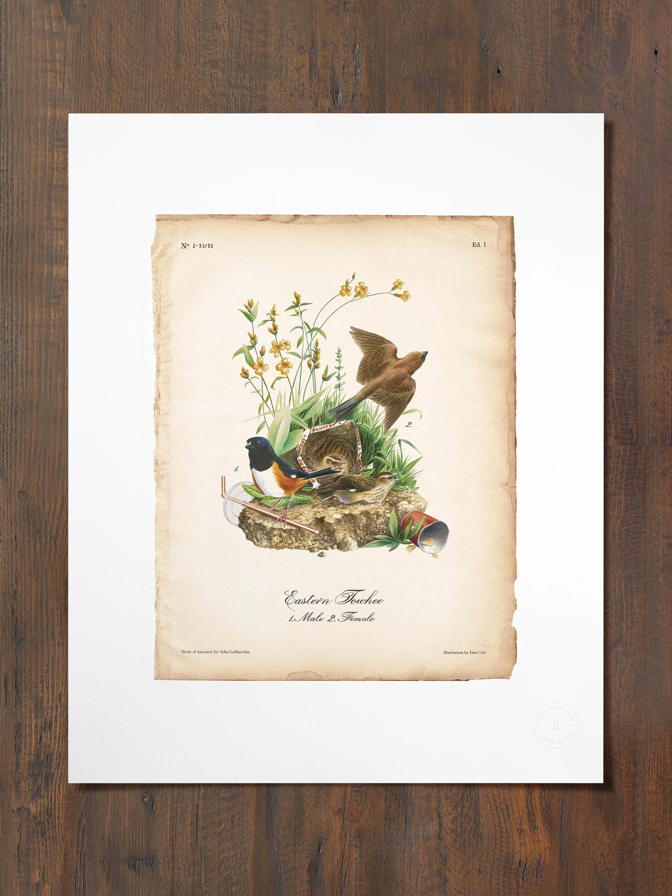 Eastern Towhee  |  Print