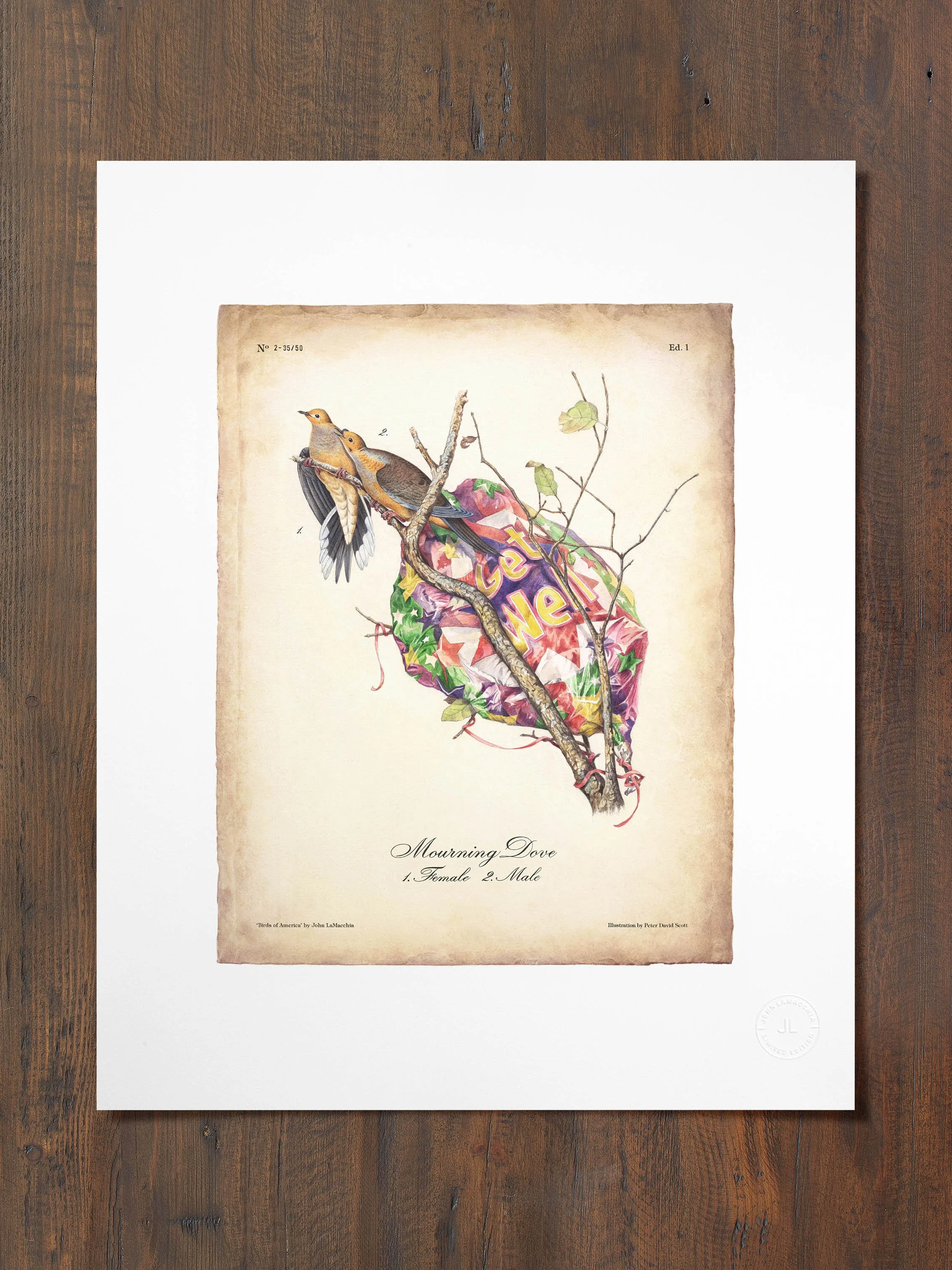 Mourning Dove  |  Print