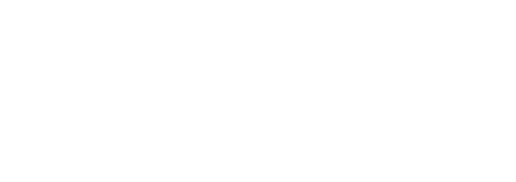 State_Street_Provisions.png