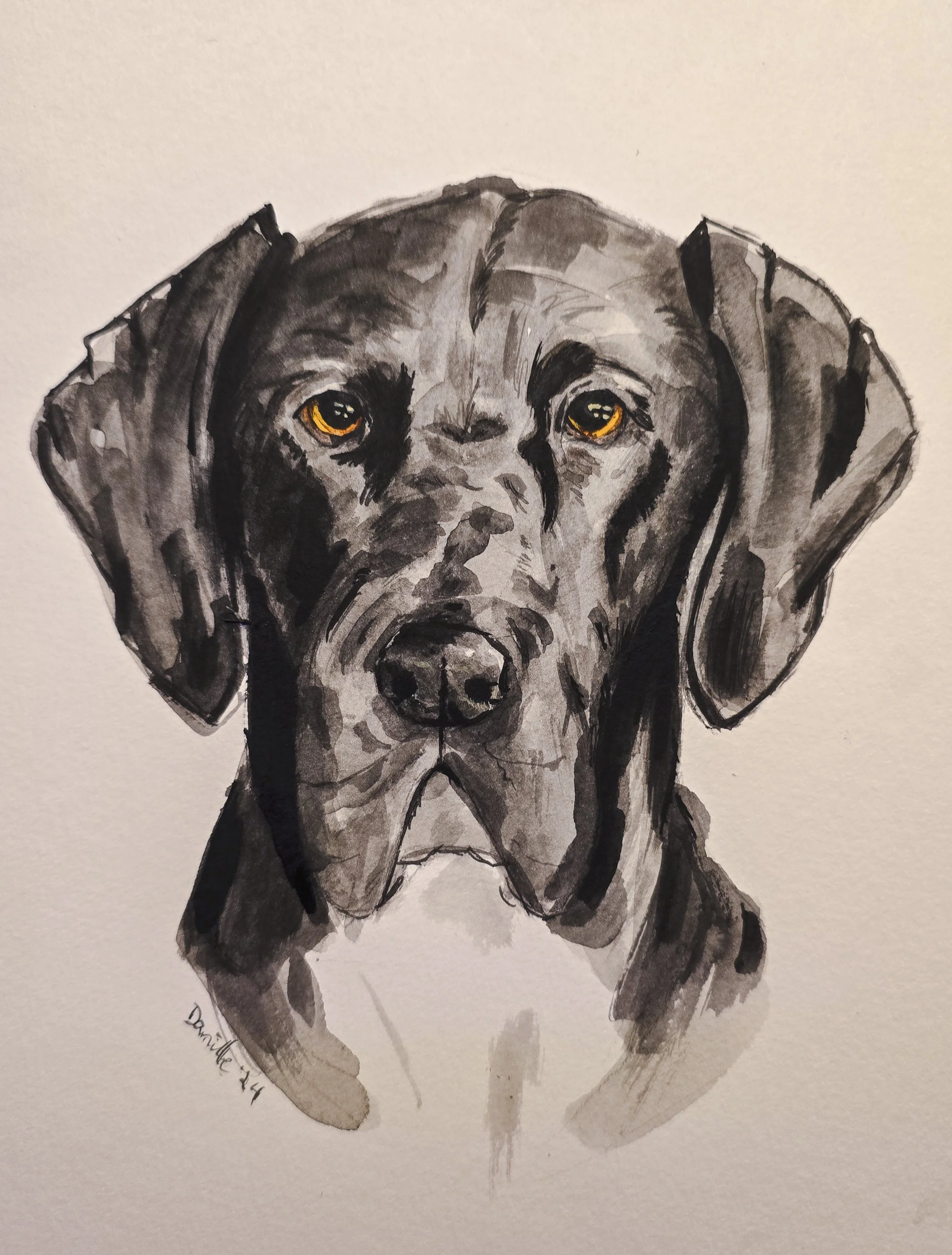 Black and gray watercolor portrait of a dog with amber eyes, facing forward.