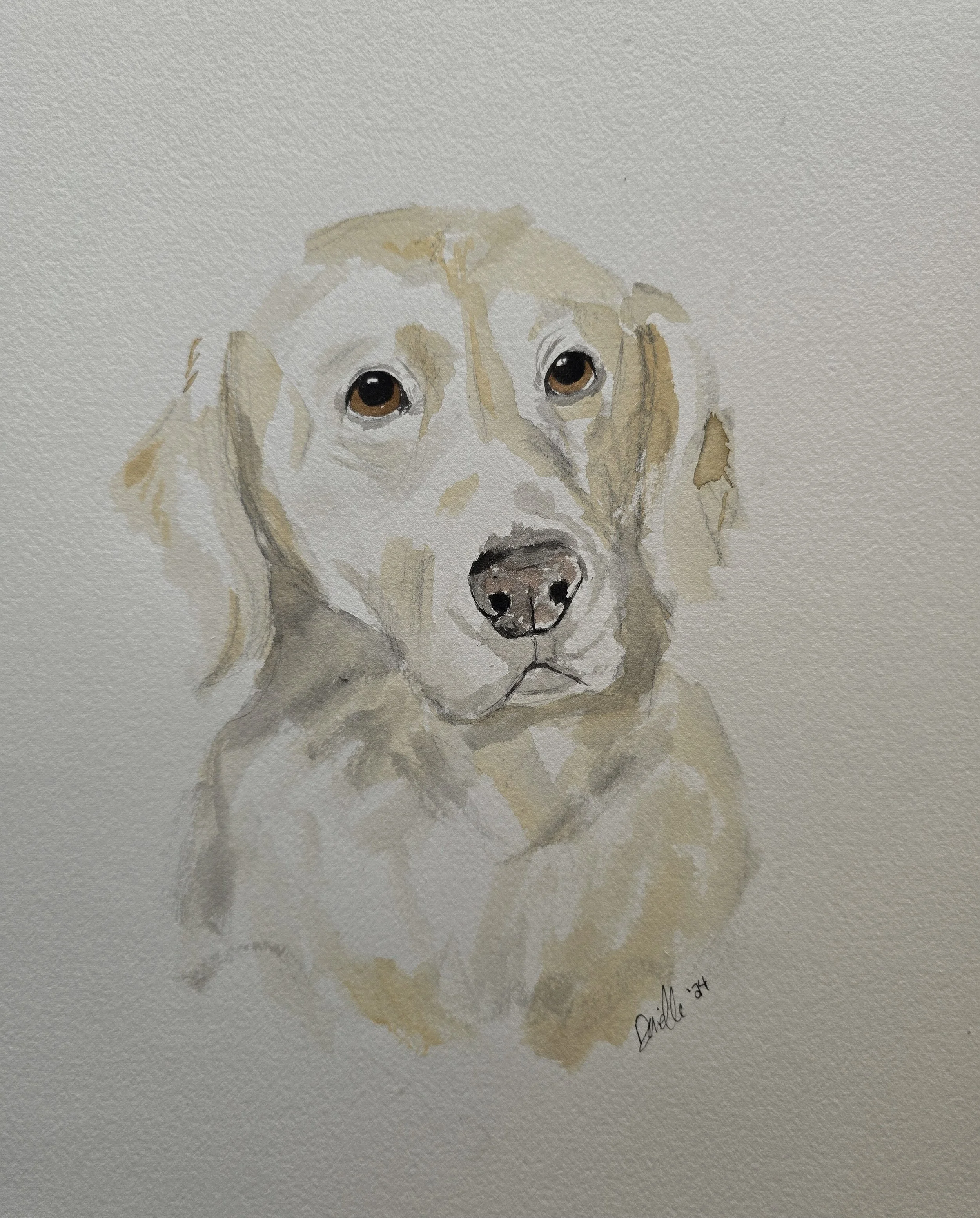 Watercolor painting of a Labrador Retriever dog with a light-colored coat and brown eyes.
