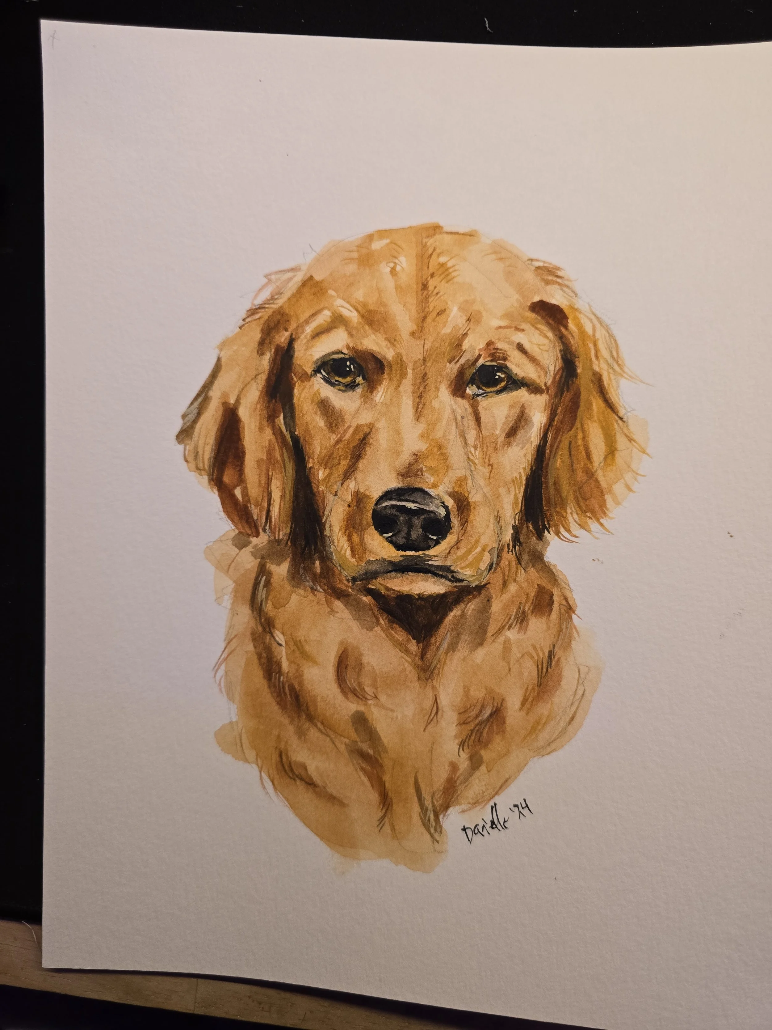 Watercolor painting of a golden retriever dog with brown eyes, black nose, and floppy ears.