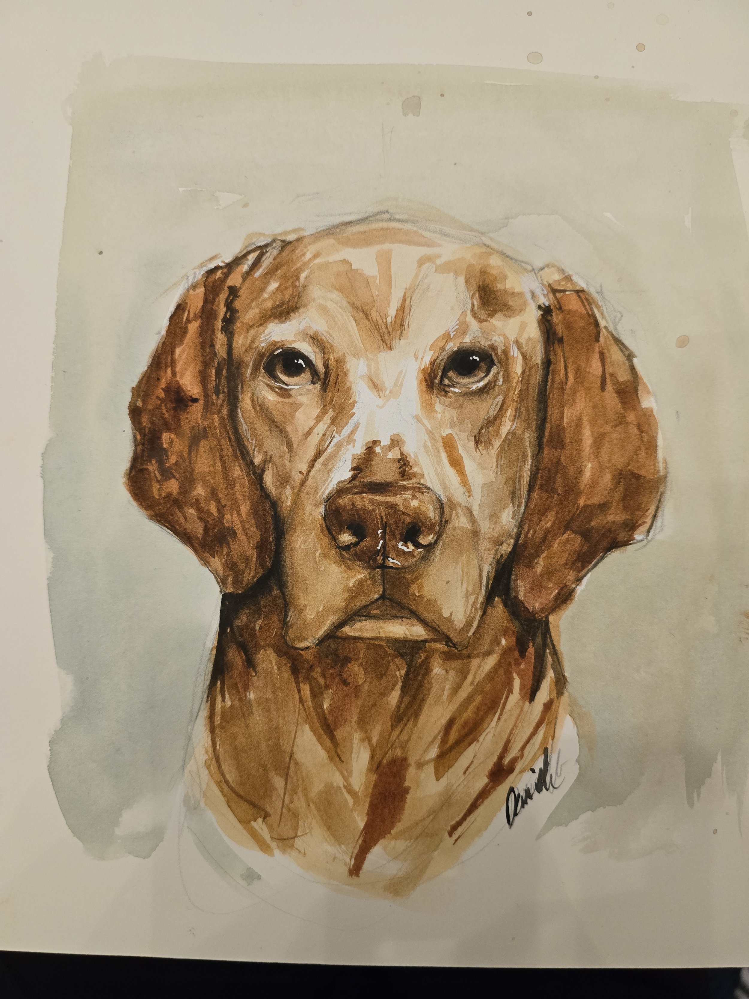 A watercolor painting of a brown dog with long ears and expressive eyes, facing forward.