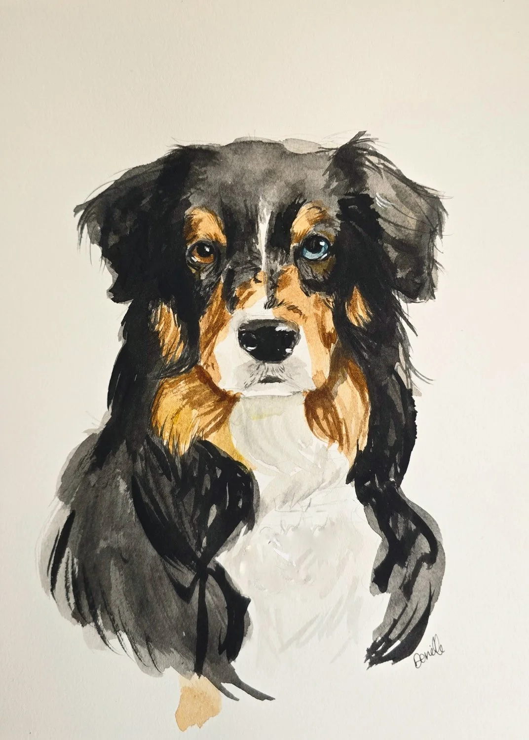 Watercolor painting of a dog with one blue eye and one brown eye.