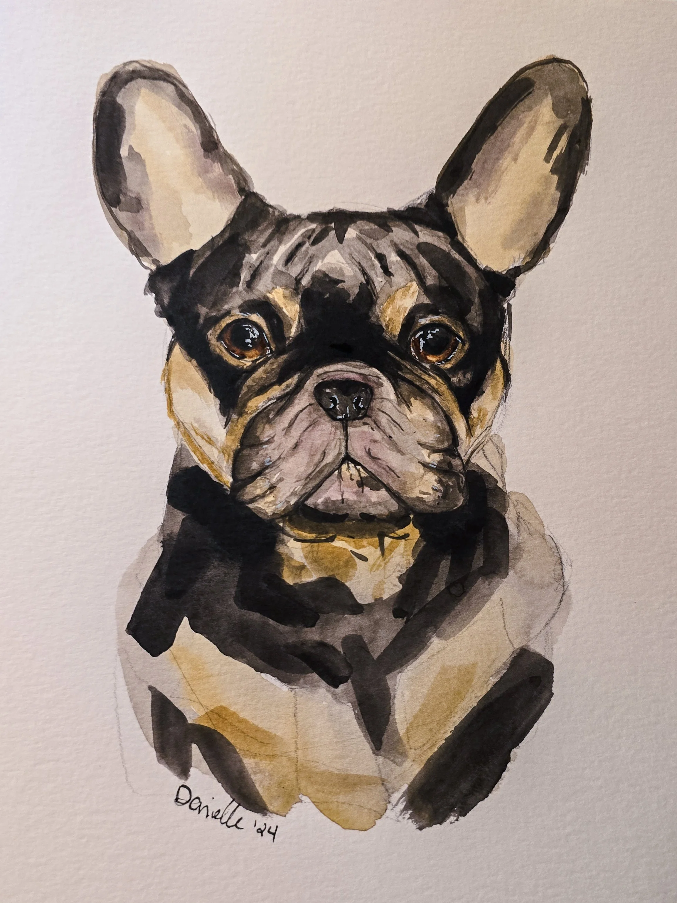 Watercolor painting of a French Bulldog with large ears and expressive eyes, looking forward.
