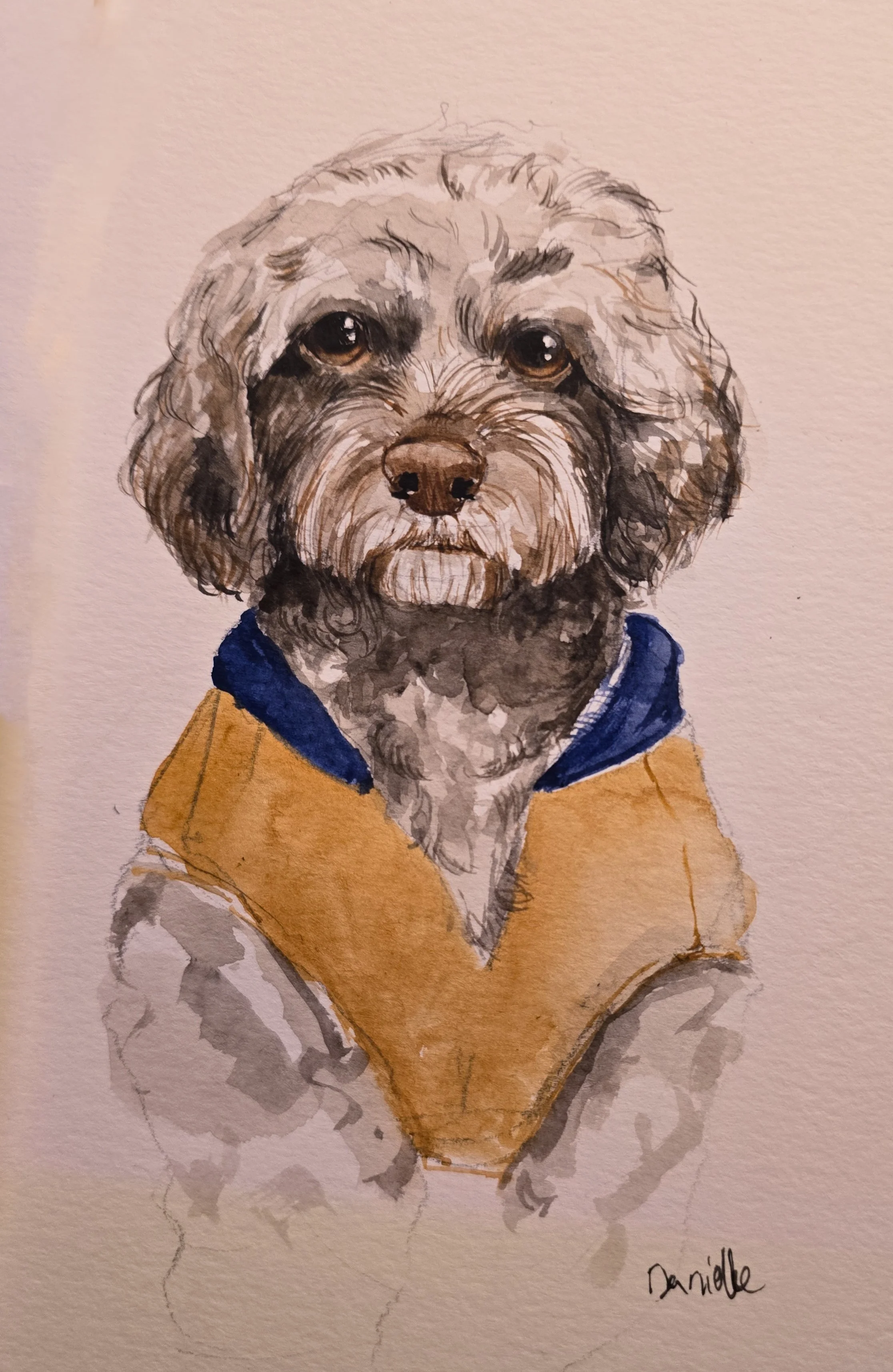 A watercolor painting of a dog with curly fur, wearing a blue collar and a tan vest, signed 'Danielle' in the bottom right corner.