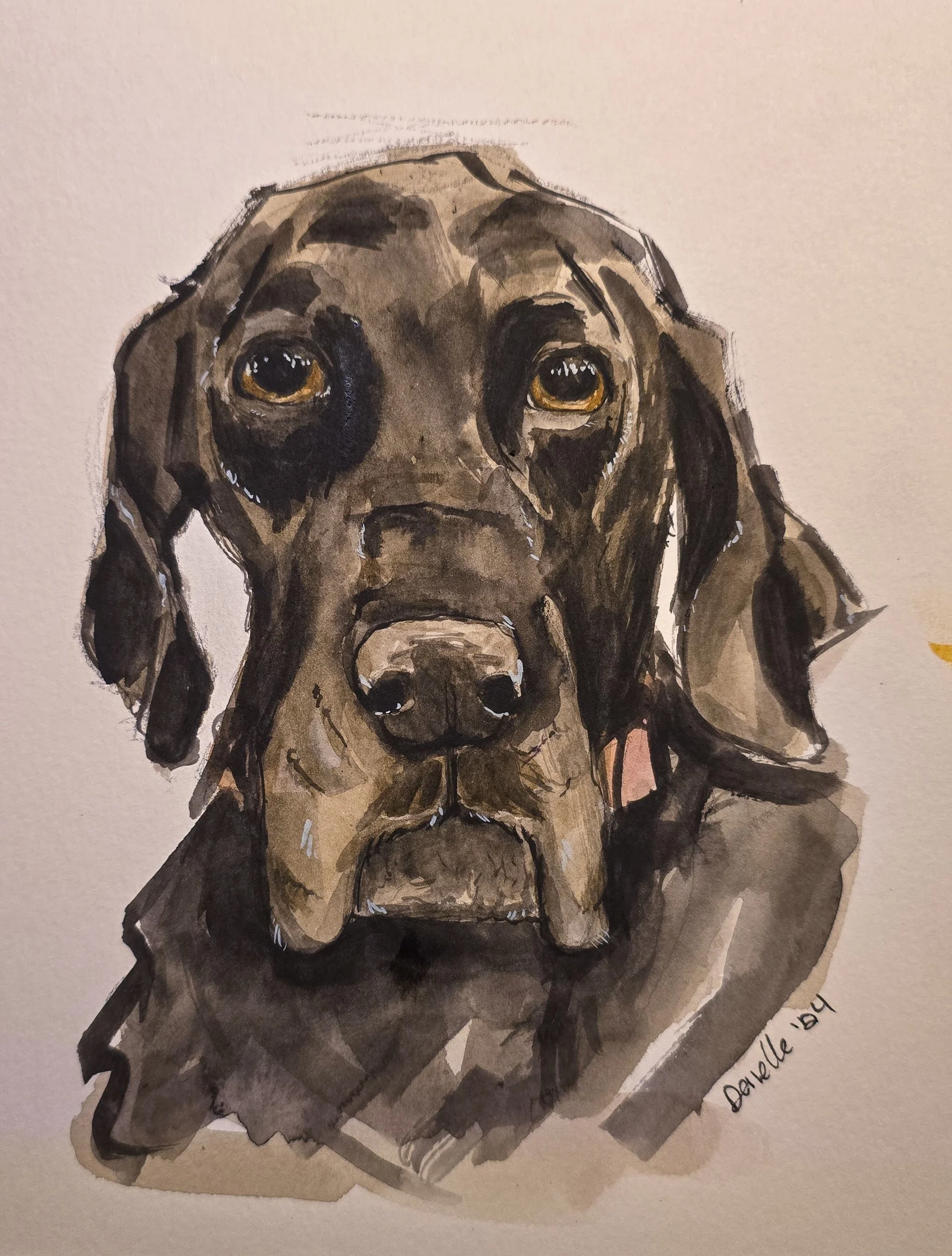 Watercolor painting of a black dog with brown highlights and sad eyes.