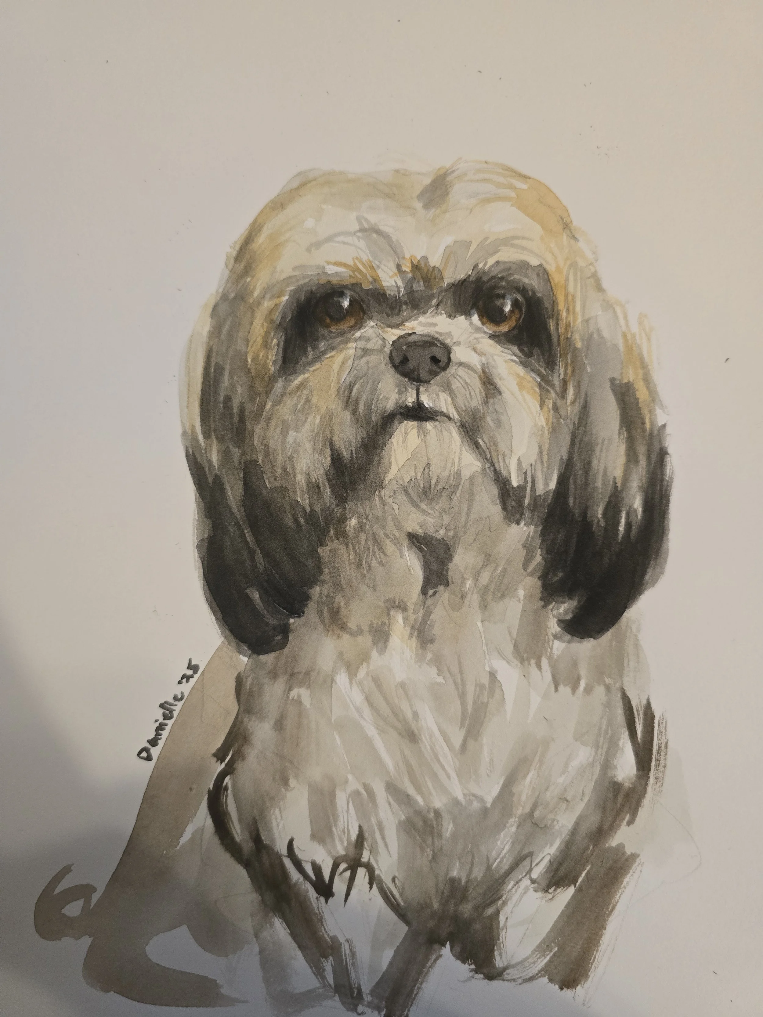A watercolor painting of a dog with long black and brown ears, brown eyes, and a black nose, looking directly at the viewer.