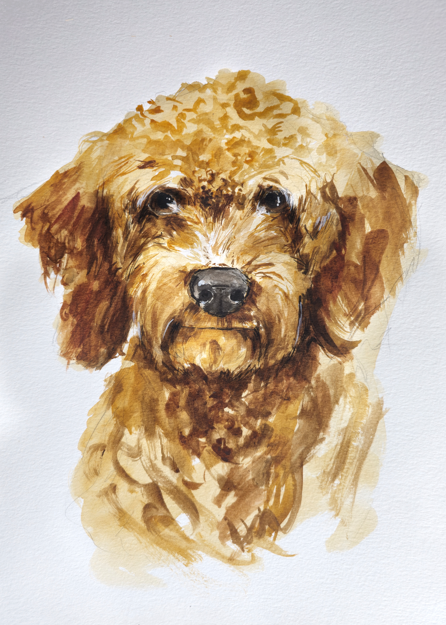 Watercolor painting of a brown dog with floppy ears and dark eyes, facing forward.
