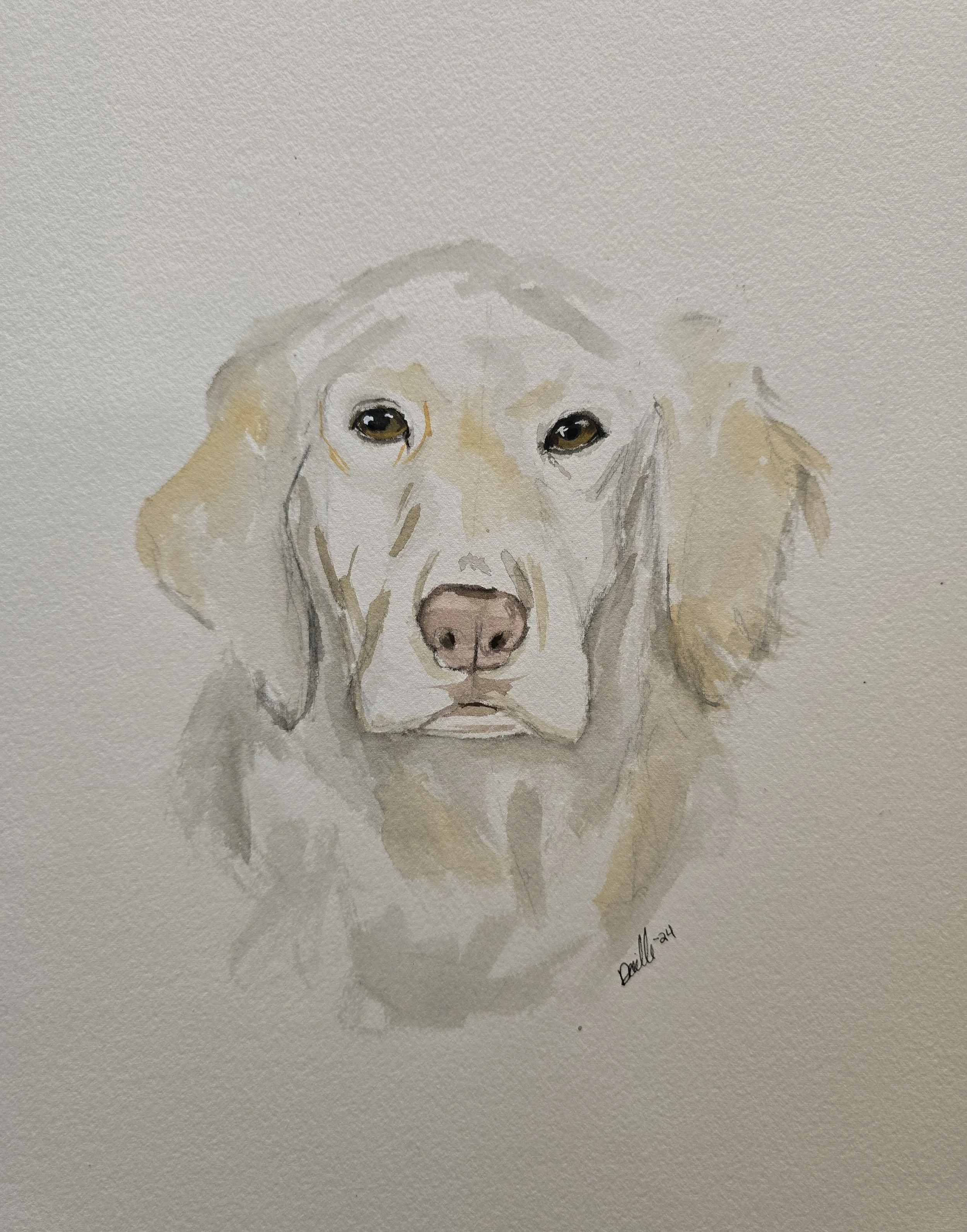 Watercolor painting of a Labrador Retriever dog's face on white textured paper.