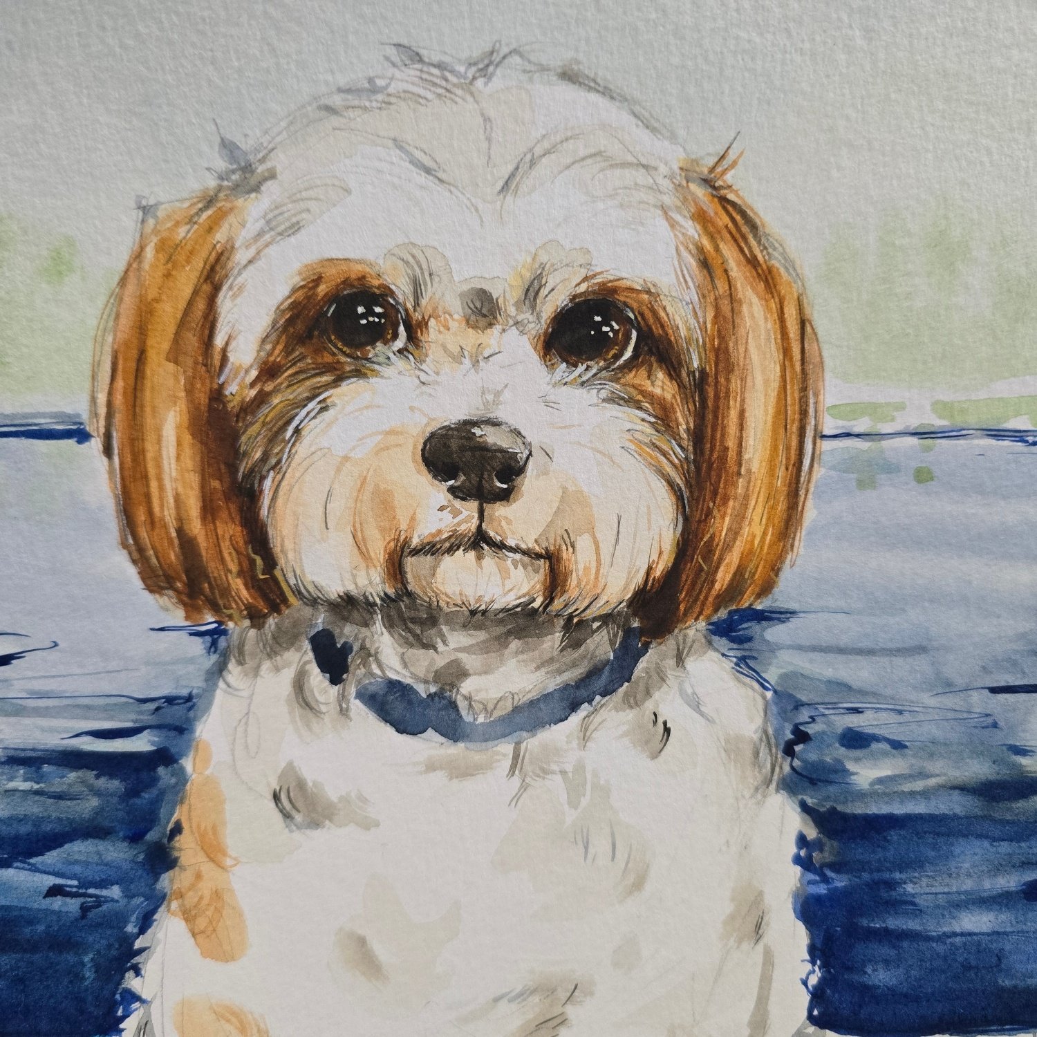 Watercolor painting of a small dog with long brown and white fur, sitting in water with a green background.