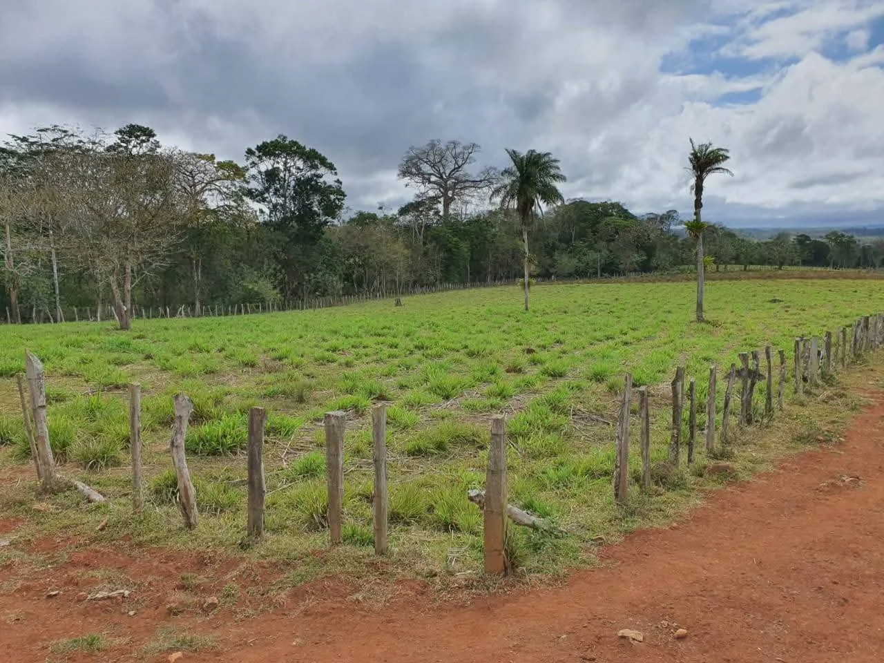 A rural landscape with a grassy field enclosed by a rustic wooden fence, surrounded by trees and a cloudy sky.