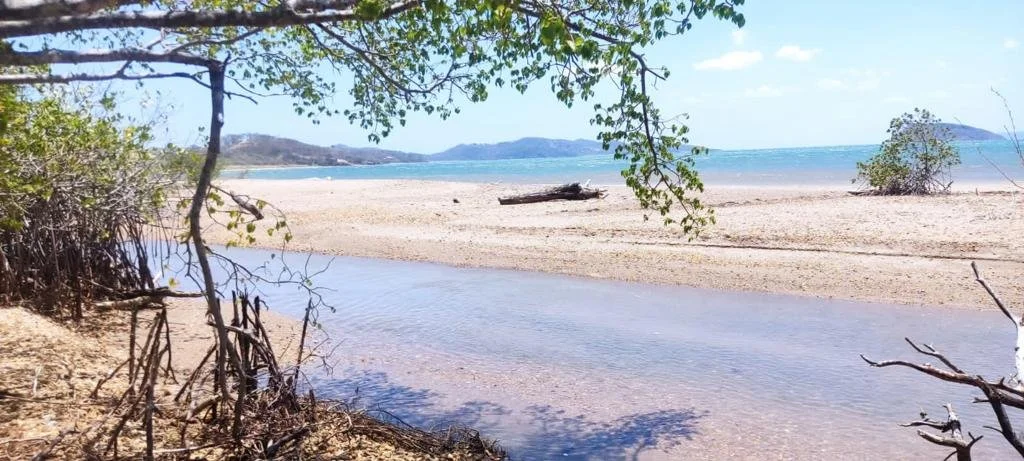 A calm river runs through a sandy beach with some vegetation and trees. The background includes hills and a partly cloudy sky.