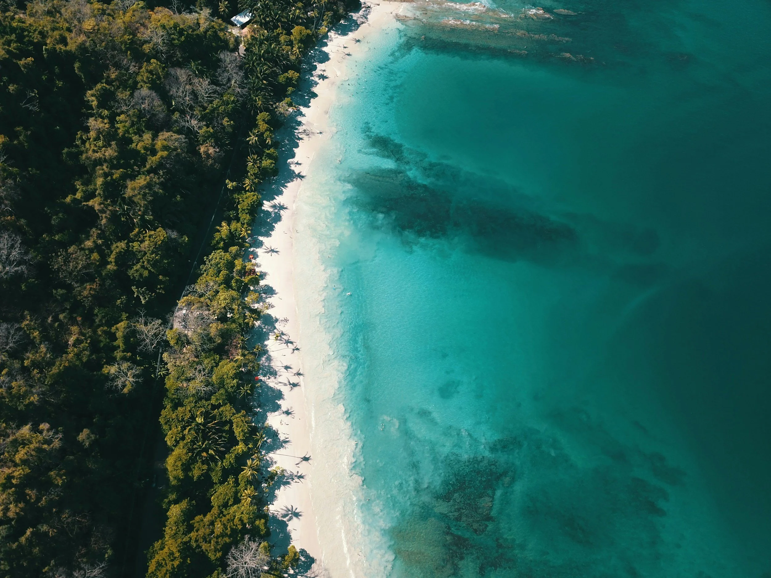 An aerial view of a tropical beach with a dense forest on one side and clear blue ocean water on the other, showing waves and coral reefs near the shore.