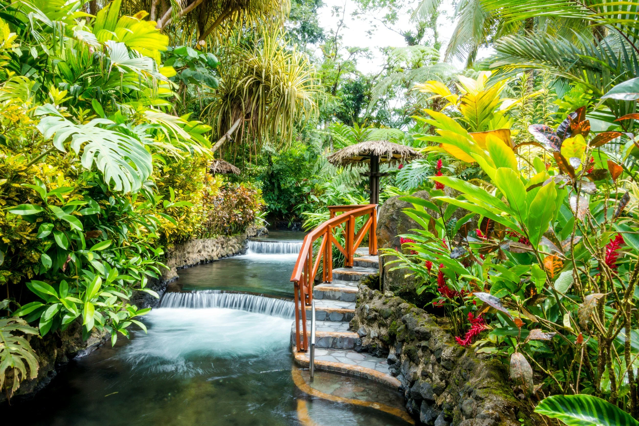 A tropical garden with a small cascading waterfall and a wooden railing along stone steps surrounded by lush green foliage and vibrant plants.