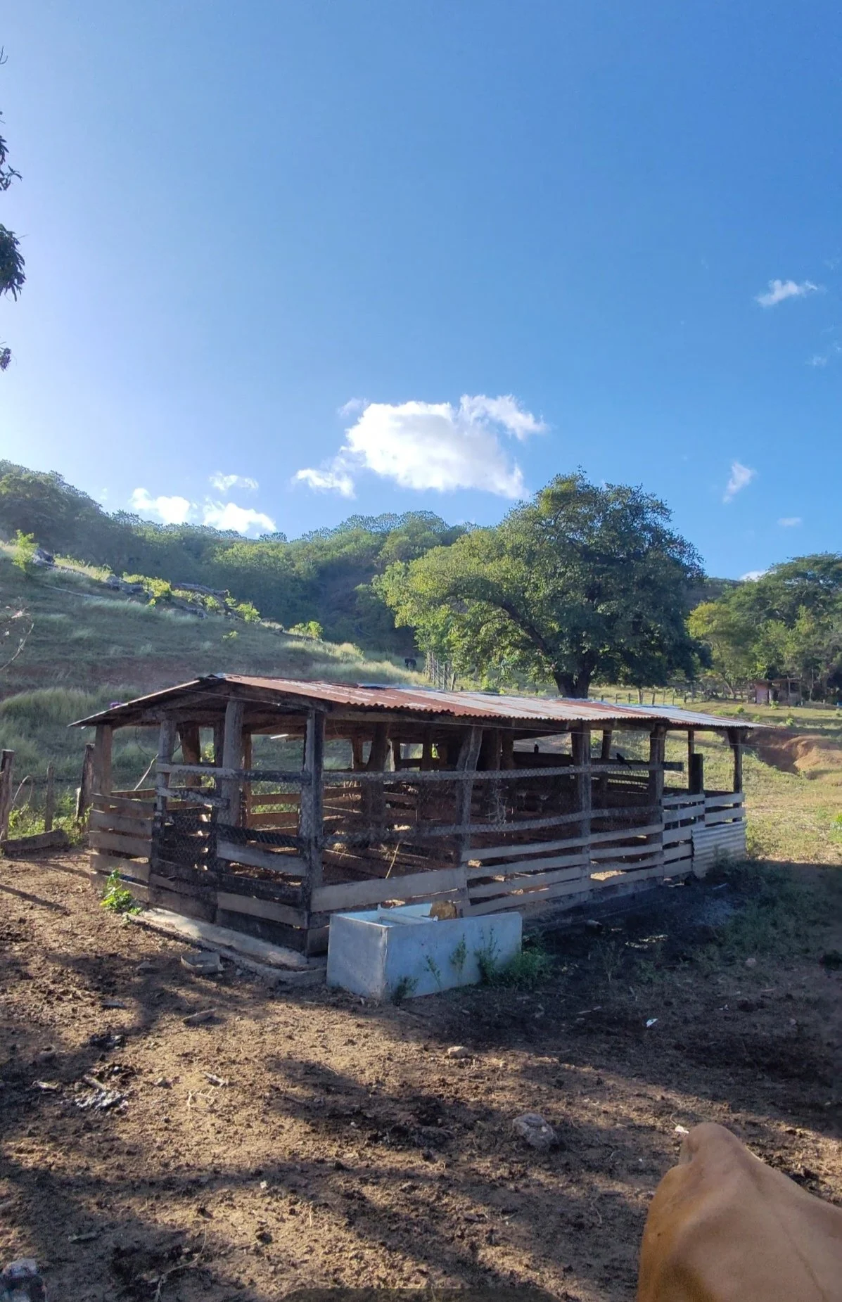 A rustic wooden shed on a farm surrounded by trees and grassy areas under a bright blue sky with some clouds.