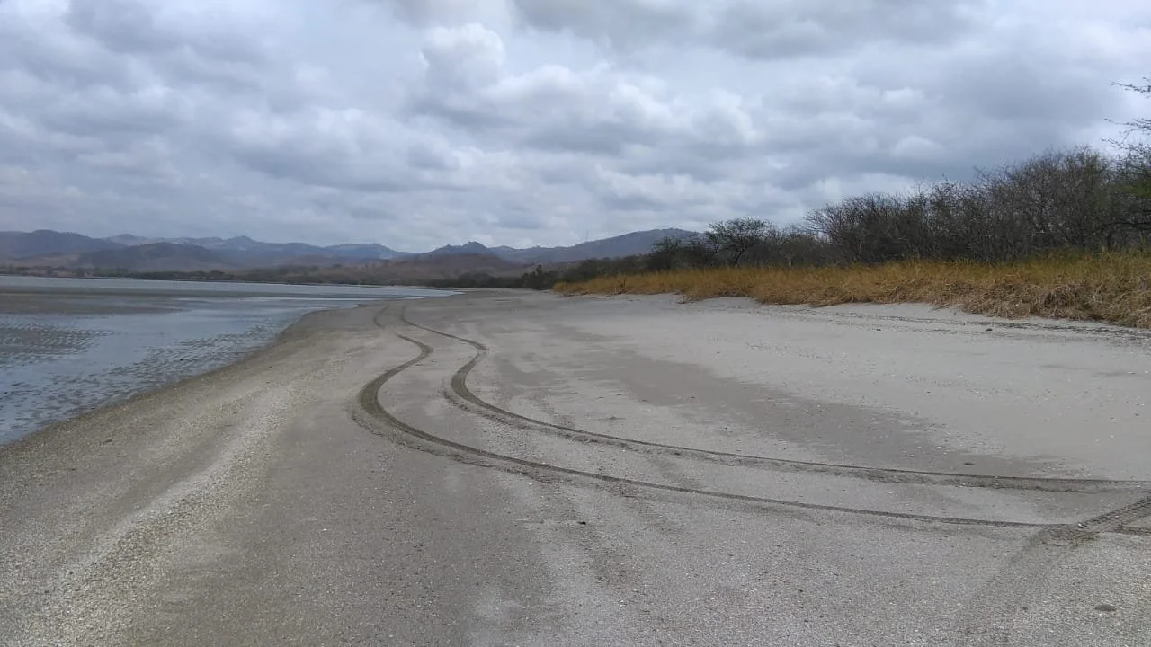 A beach with tire tracks on the sand near the water, with mountains and cloudy skies in the background.