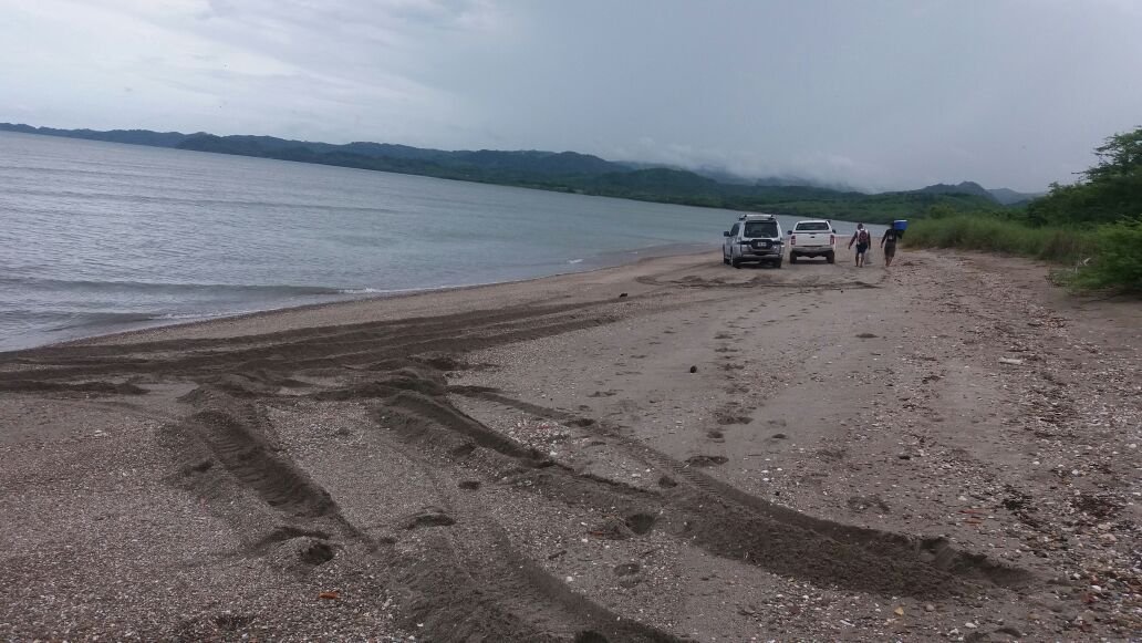 Beach with tire tracks, three cars parked near the shoreline, and two people walking away from the cars on a cloudy day.