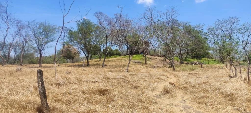Dry field with sparse trees and a small house on a hilltop in the distance.