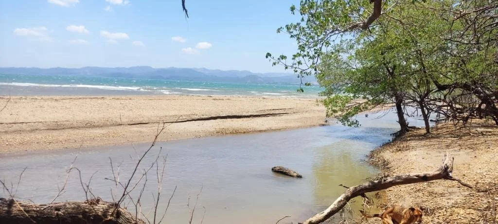 Beach scene with a small river or stream flowing into the ocean, sandy shores, green trees, and mountainous terrain in the distance under a clear sky.
